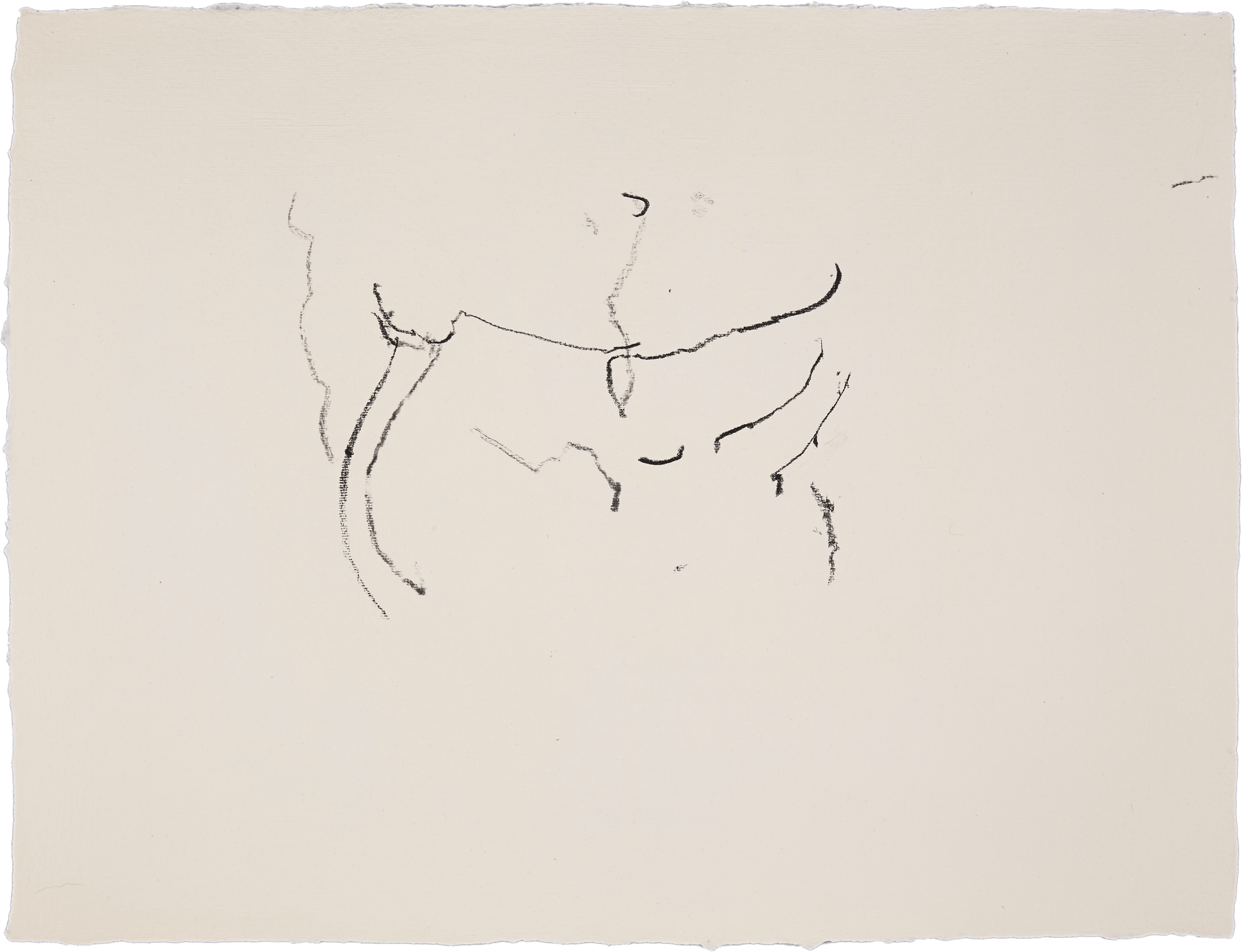Abstraction (DT #1) — (2013) — charcoal on handmade cotton paper — 65 x 50 cm