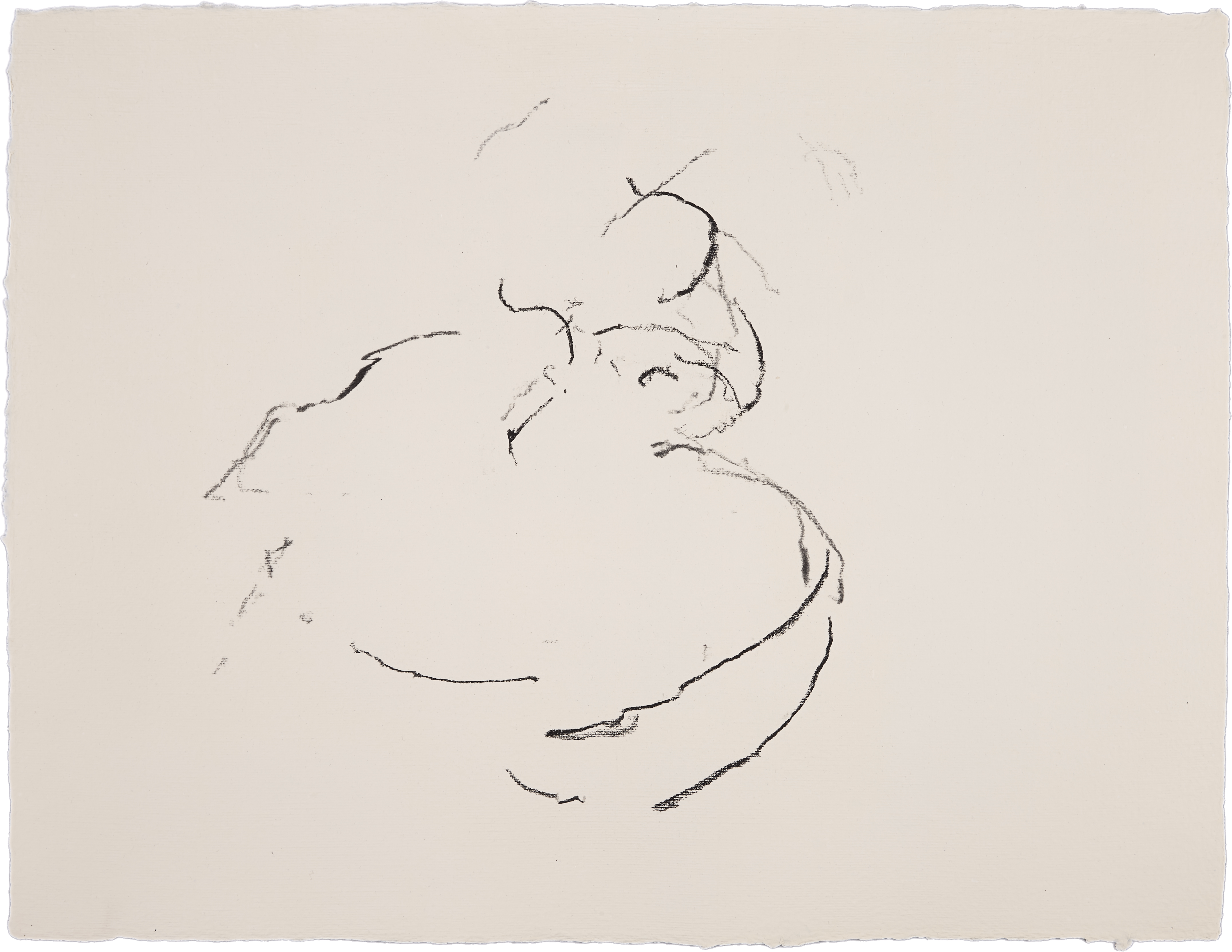 Abstraction (DT #2) — (2013) — charcoal on handmade cotton paper — 65 x 50 cm