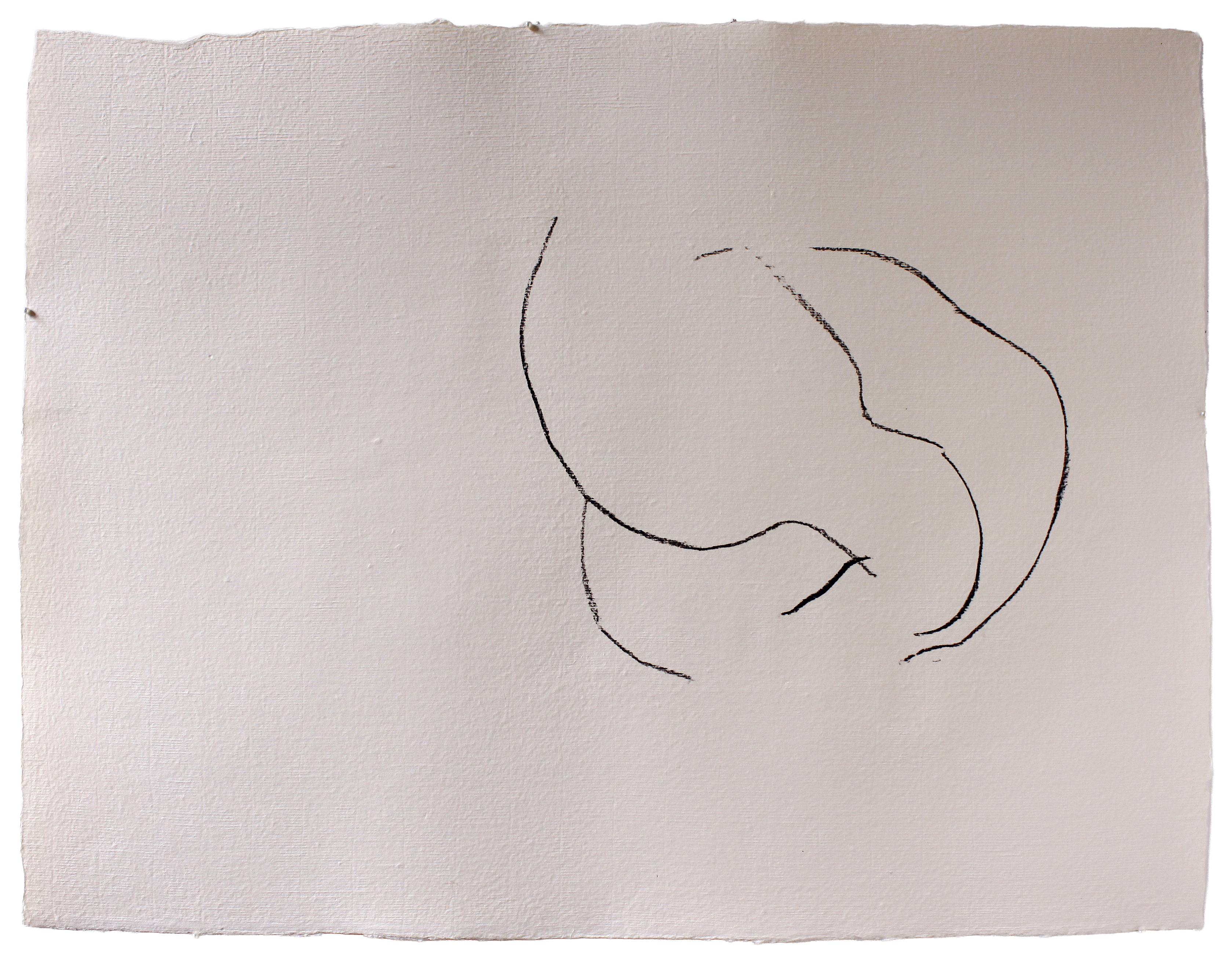 Aitia [LJW] #5 — (2012) — charcoal on handmade cotton paper — 65 x 50 cm