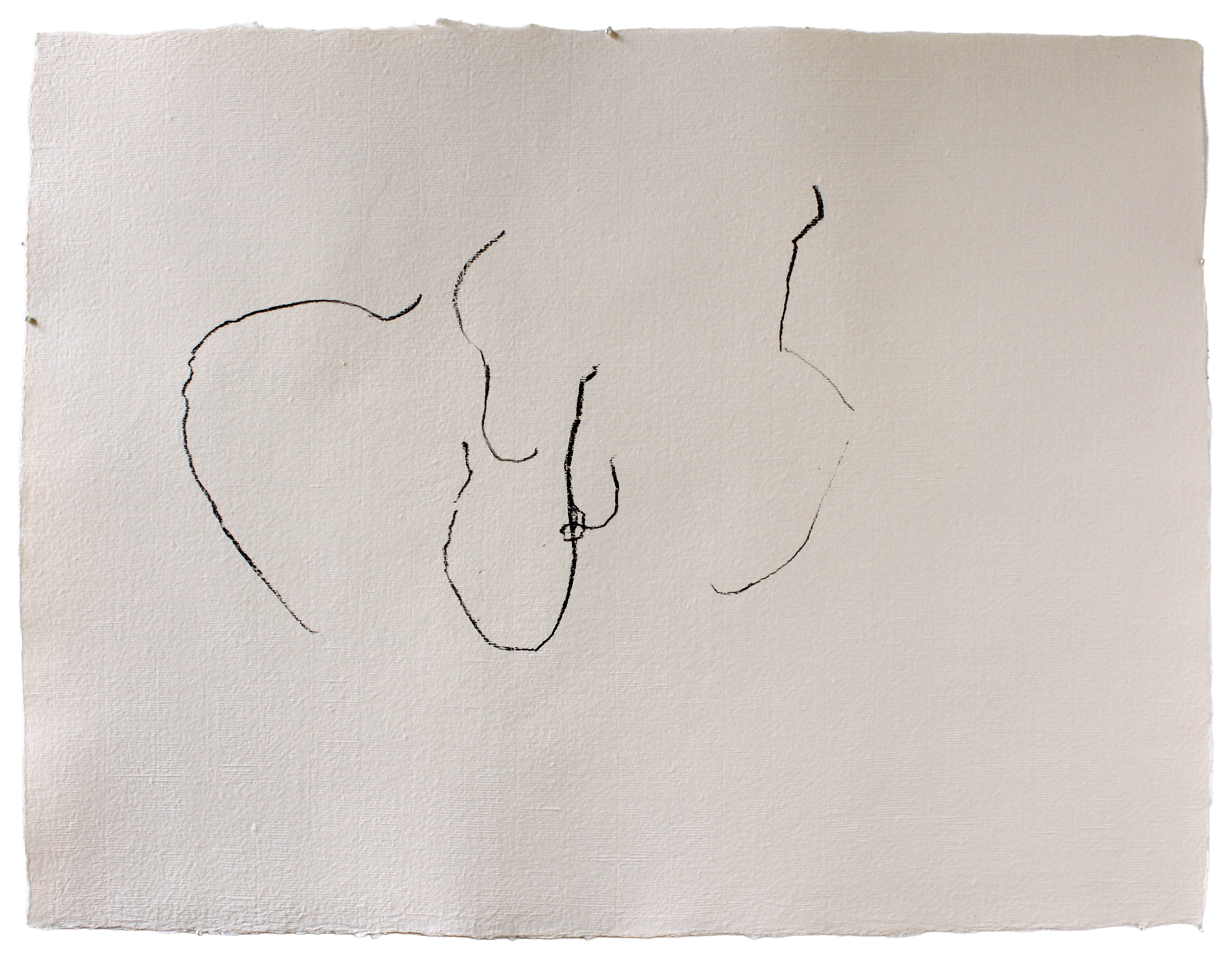 Aitia [LJW] #7 — (2012) — charcoal on handmade cotton paper — 65 x 50 cm