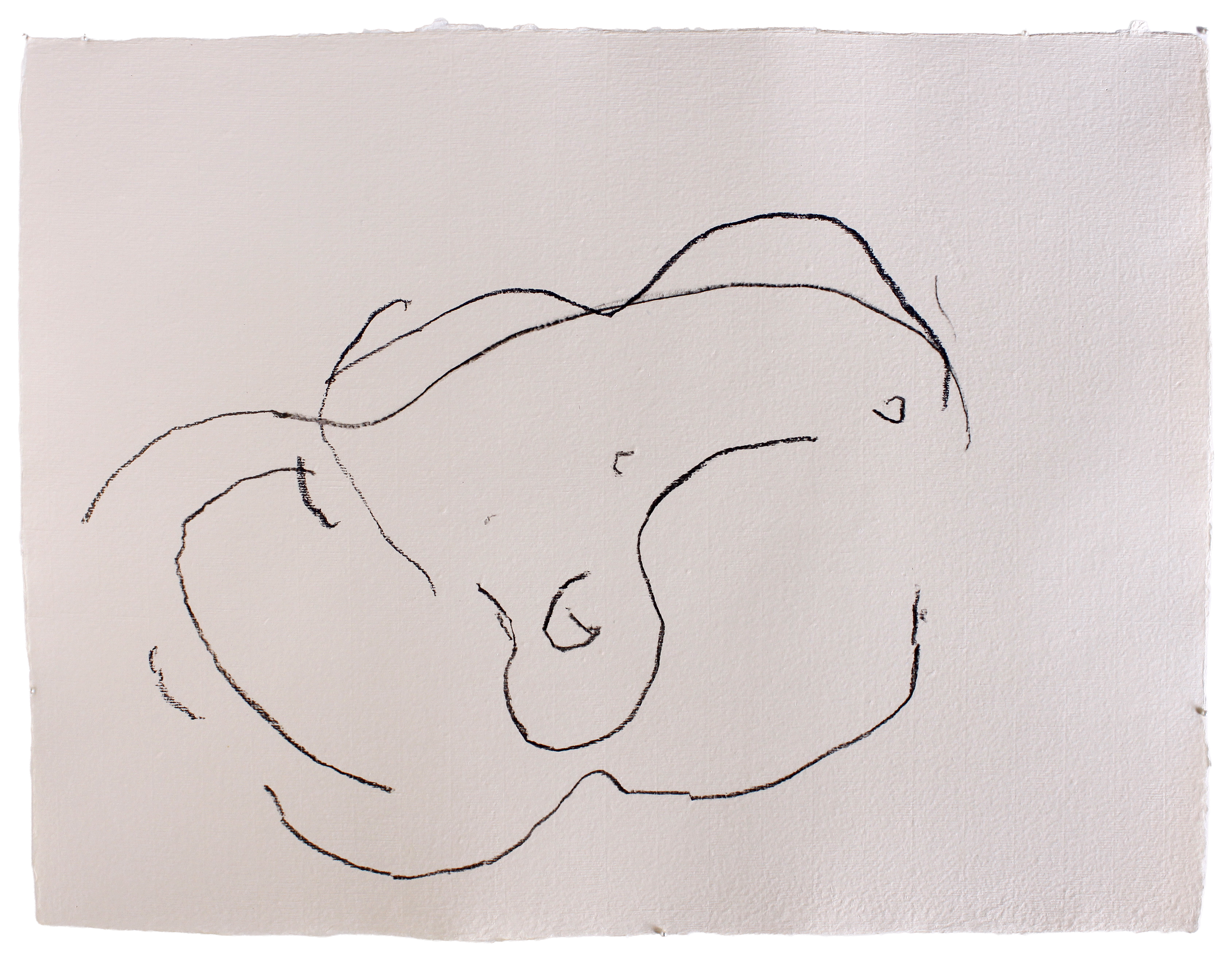Aitia [LJW] #8 — (2012) — charcoal on handmade cotton paper — 65 x 50 cm