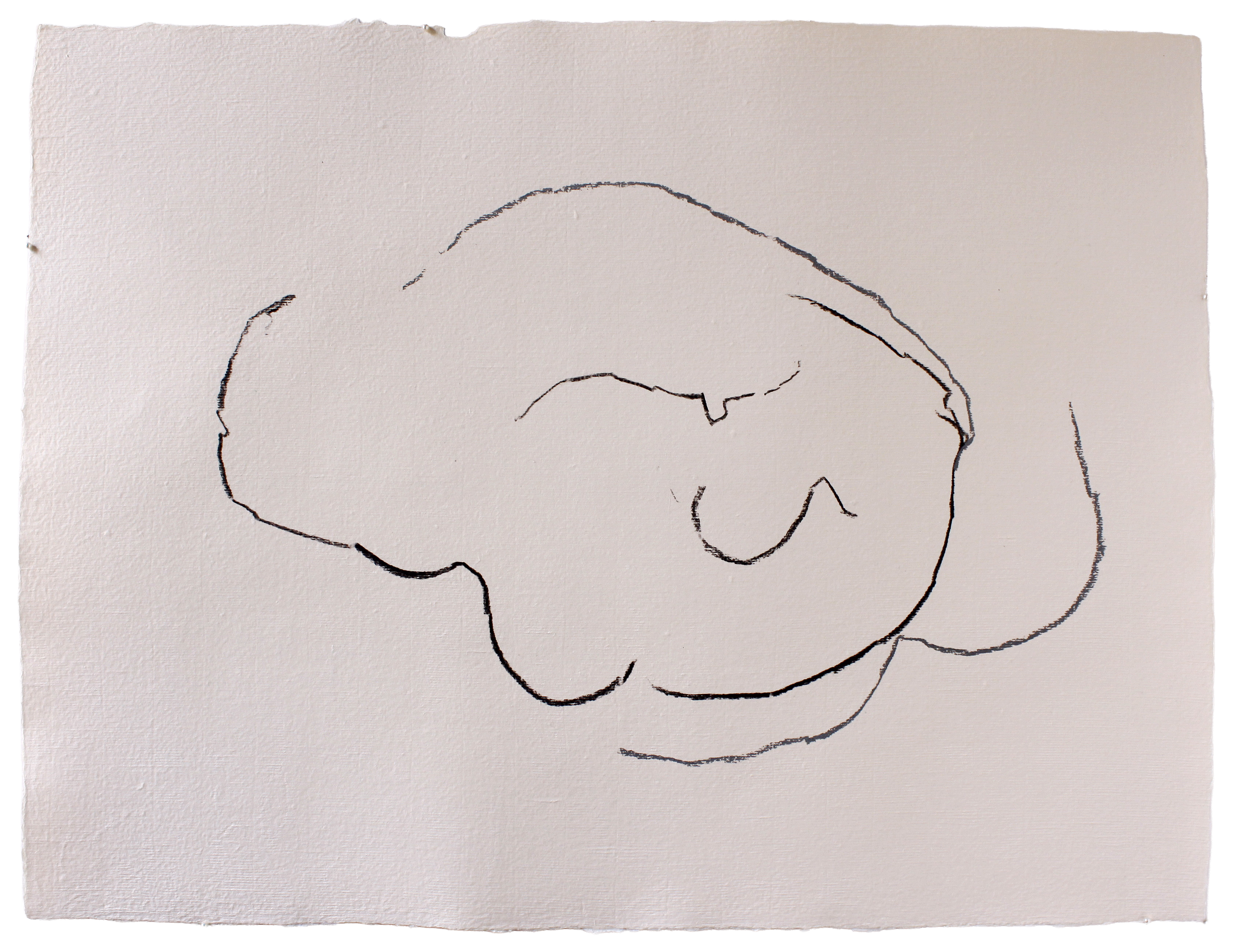 Aitia [LJW] #9 — (2012) — charcoal on handmade cotton paper — 65 x 50 cm