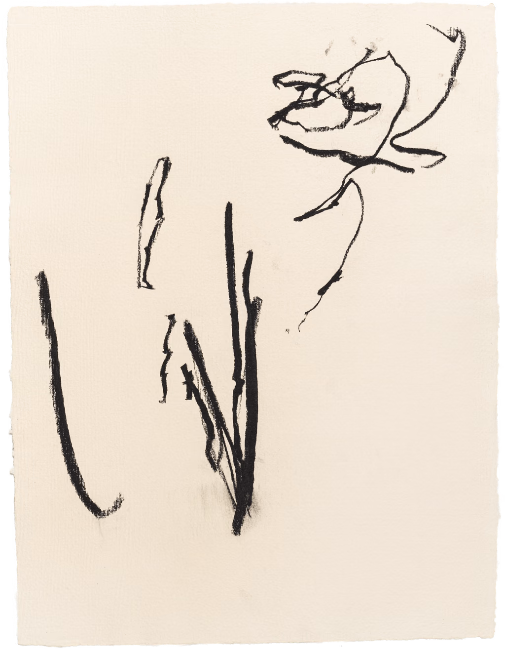 Body Drawing 05