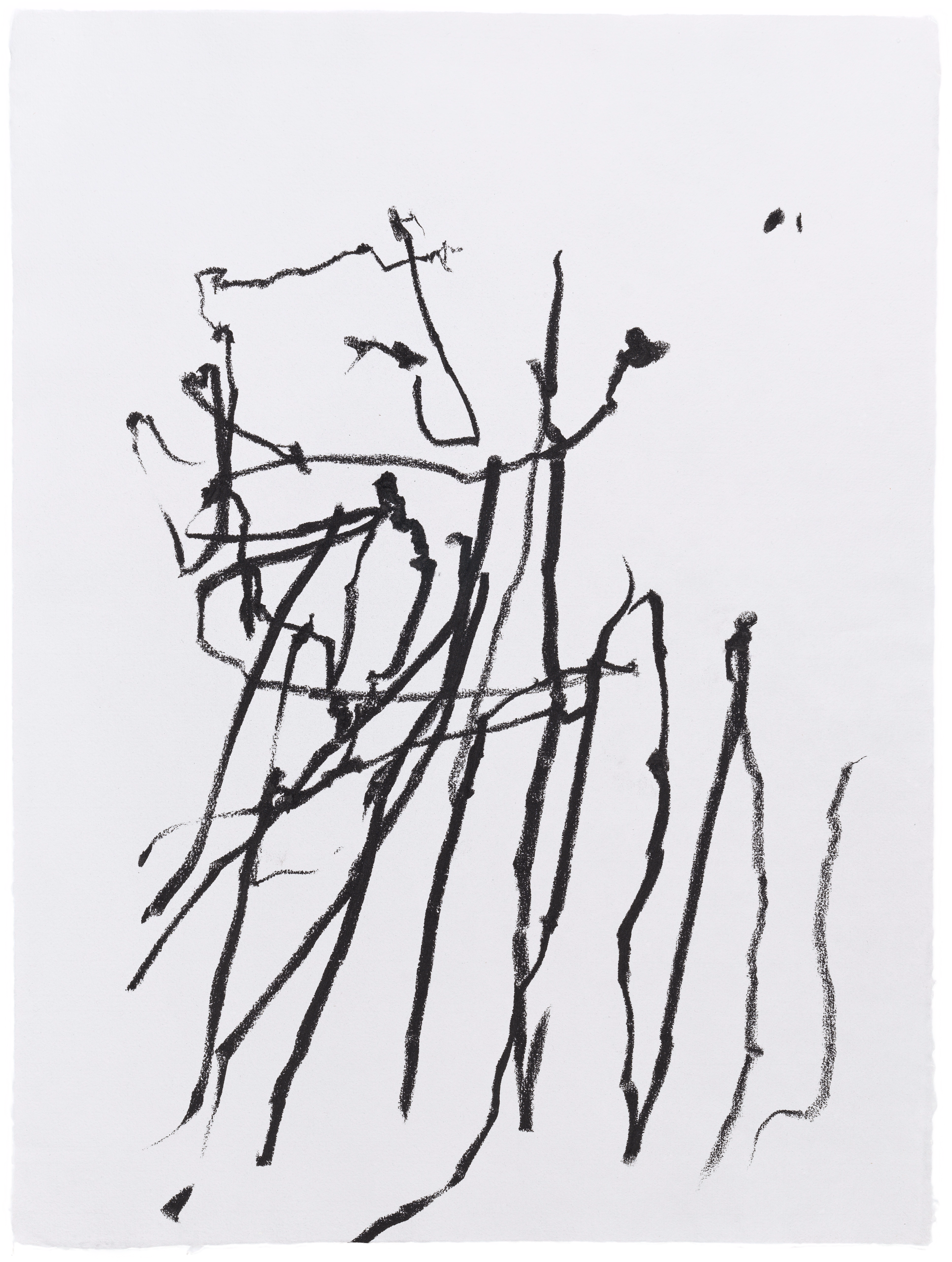 Body Drawing 06 — (2022) — charcoal on paper — 58 x 78 cm