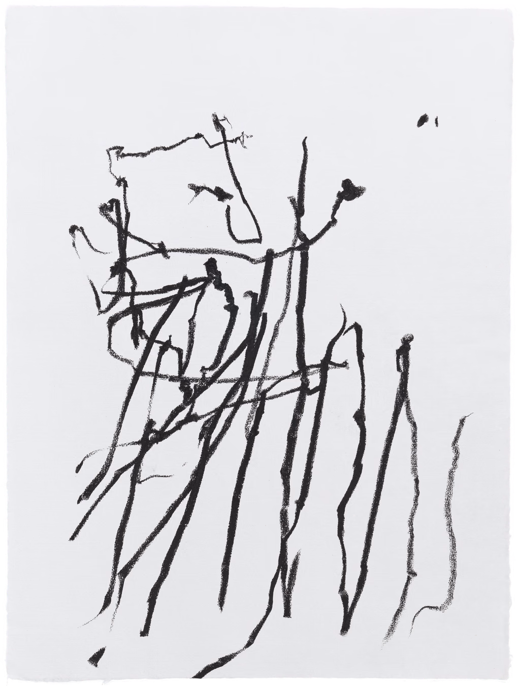 Body Drawing 06