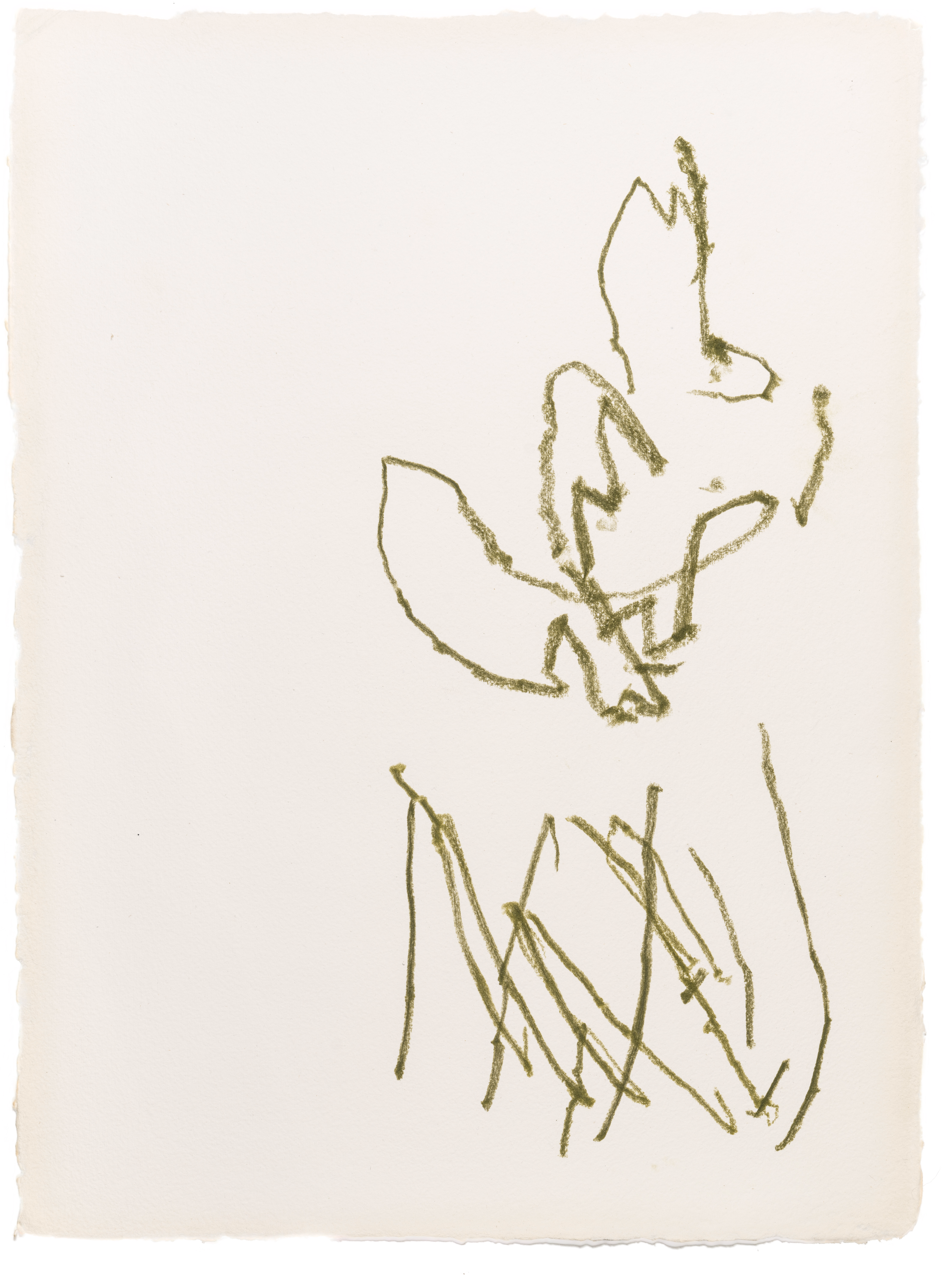 Body Drawing 119 — (2025) — pigmented graphite on paper — 58 x 78 cm