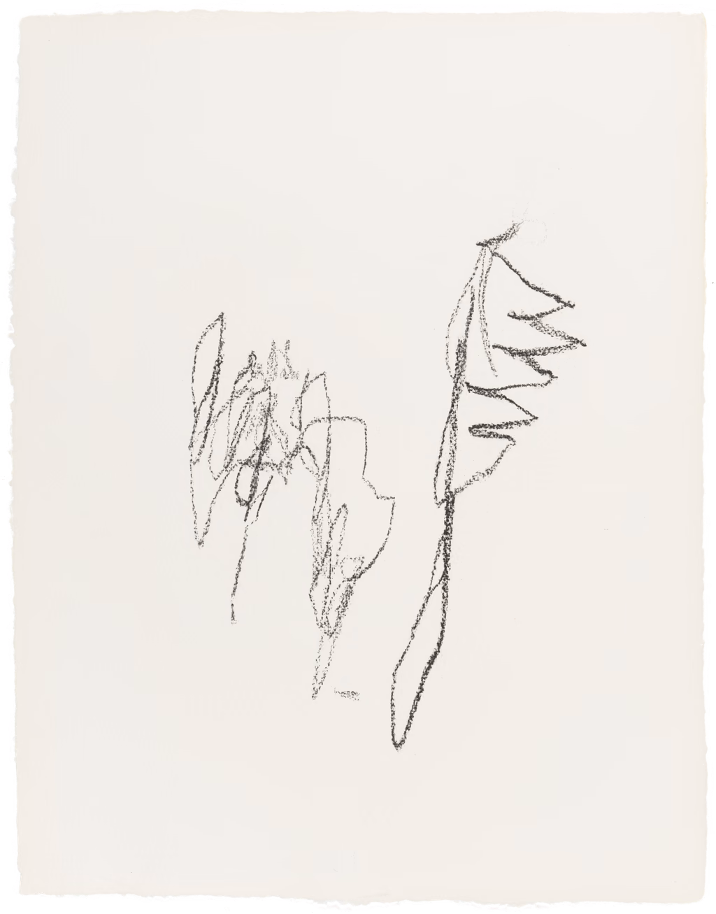 Body Drawing 12