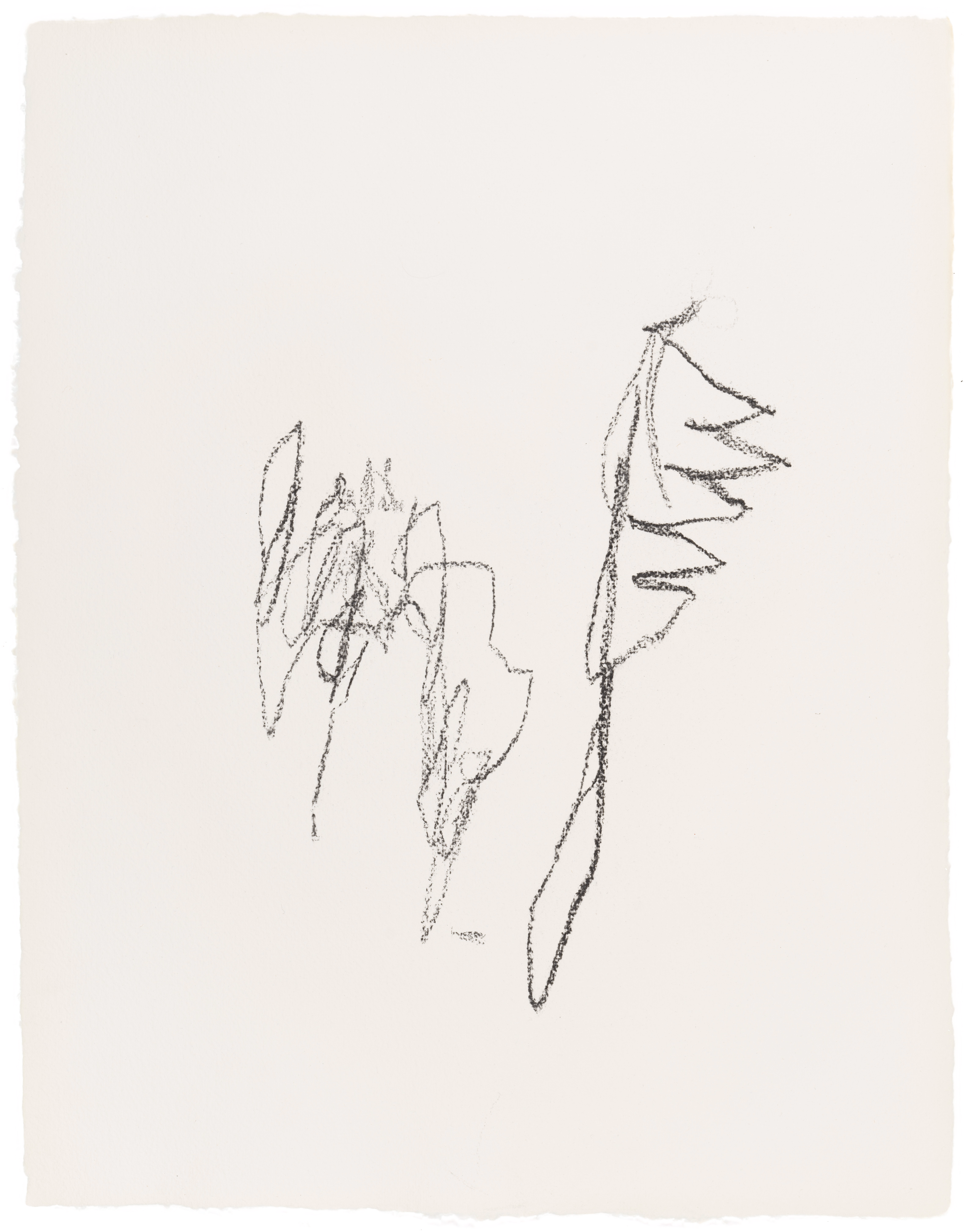 Body Drawing 12 — (2022) — charcoal on paper — 58 x 78 cm