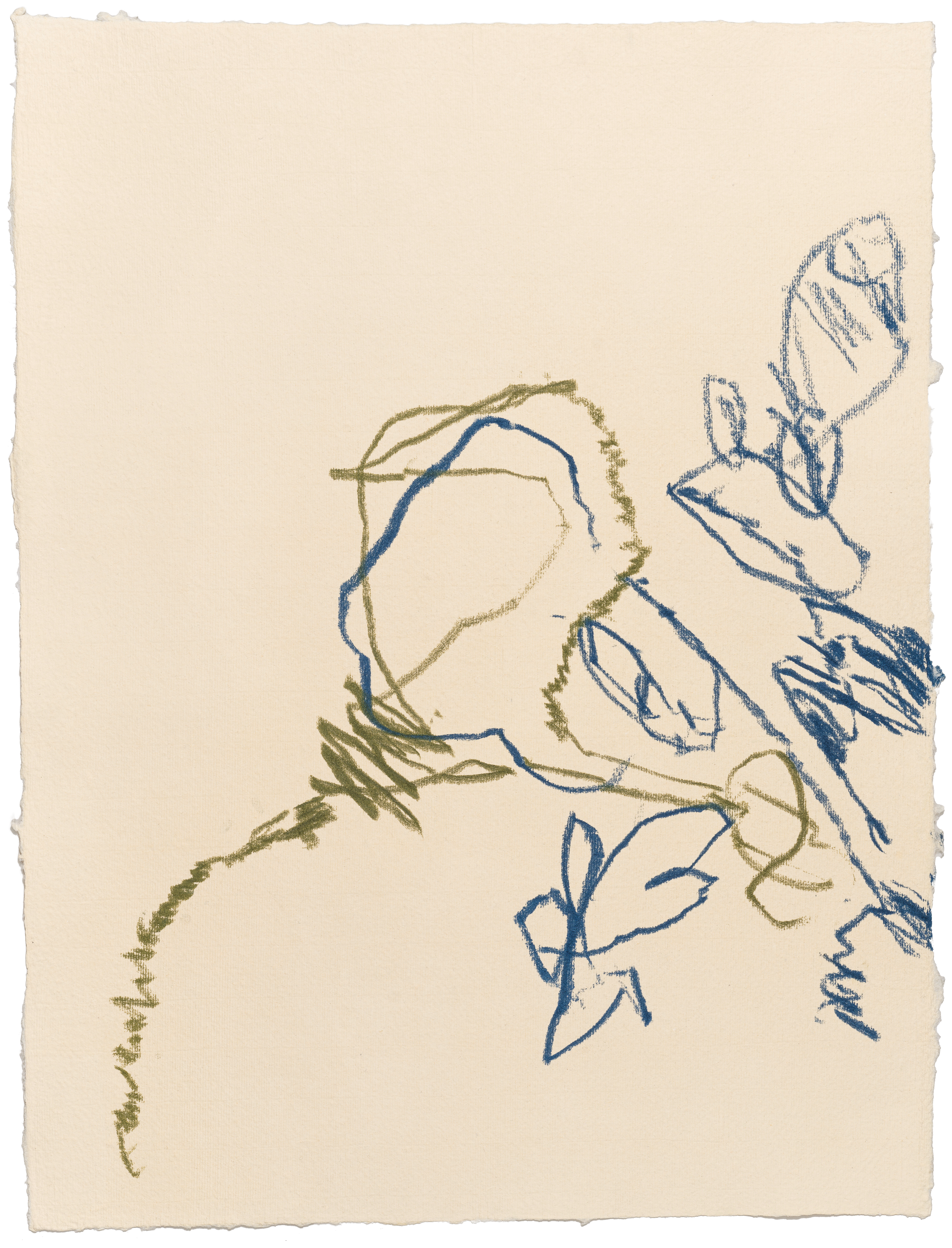 Body Drawing 122 — (2025) — pigmented graphite on paper — 58 x 78 cm