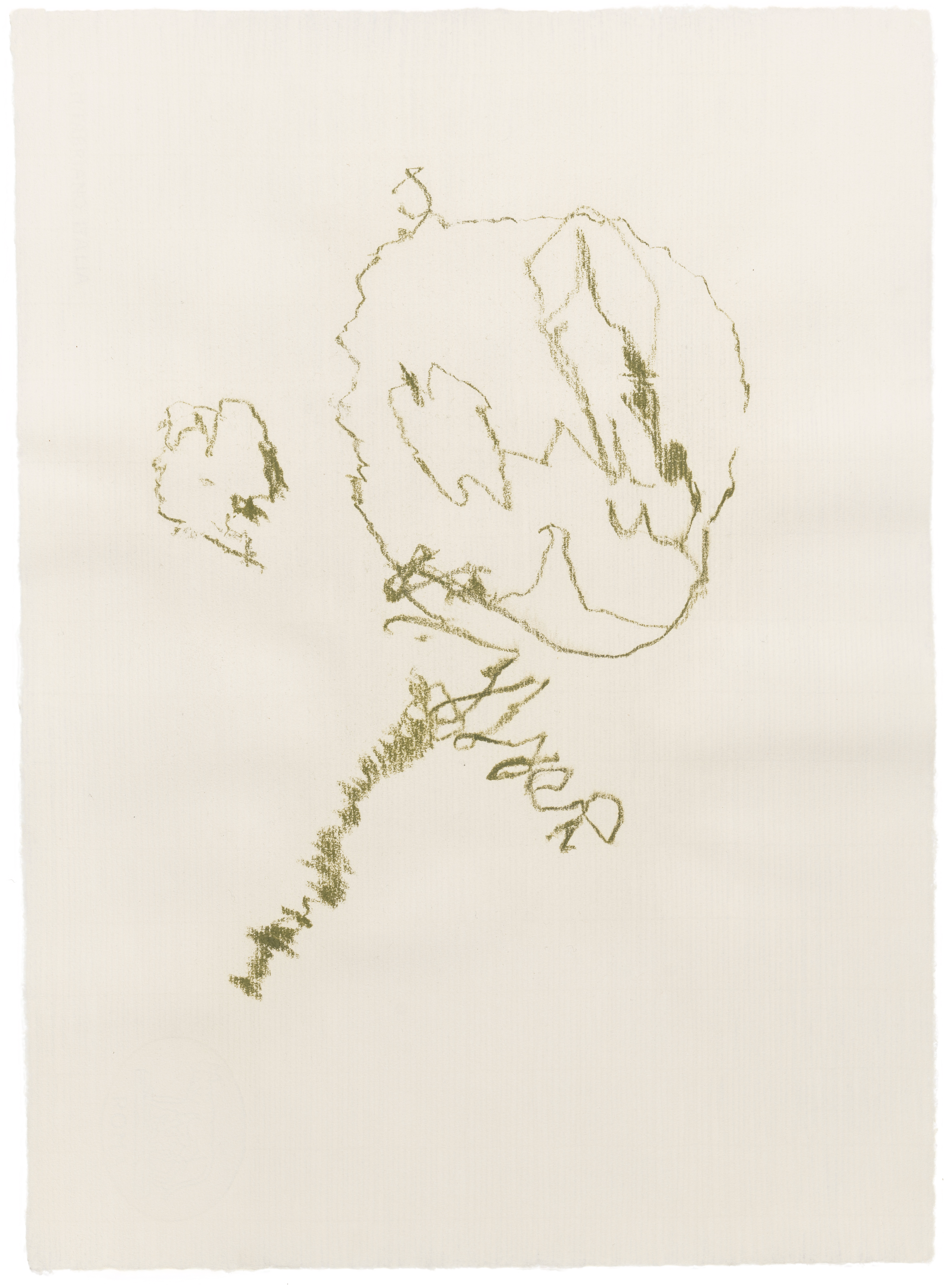 Body Drawing 123 — (2025) — pigmented graphite on paper — 58 x 78 cm