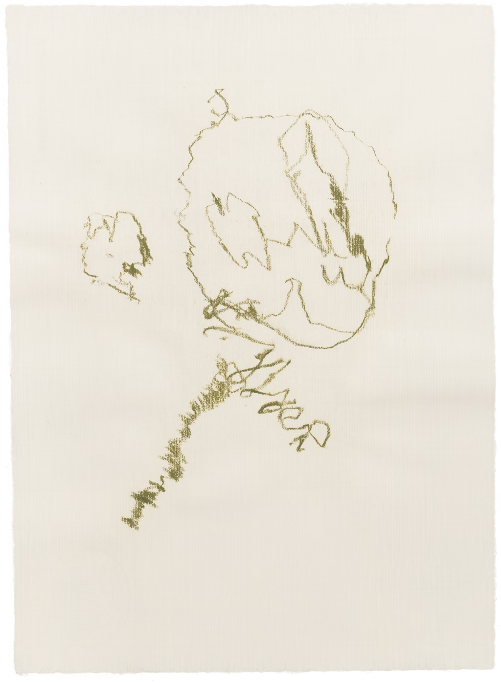 Body Drawing 123