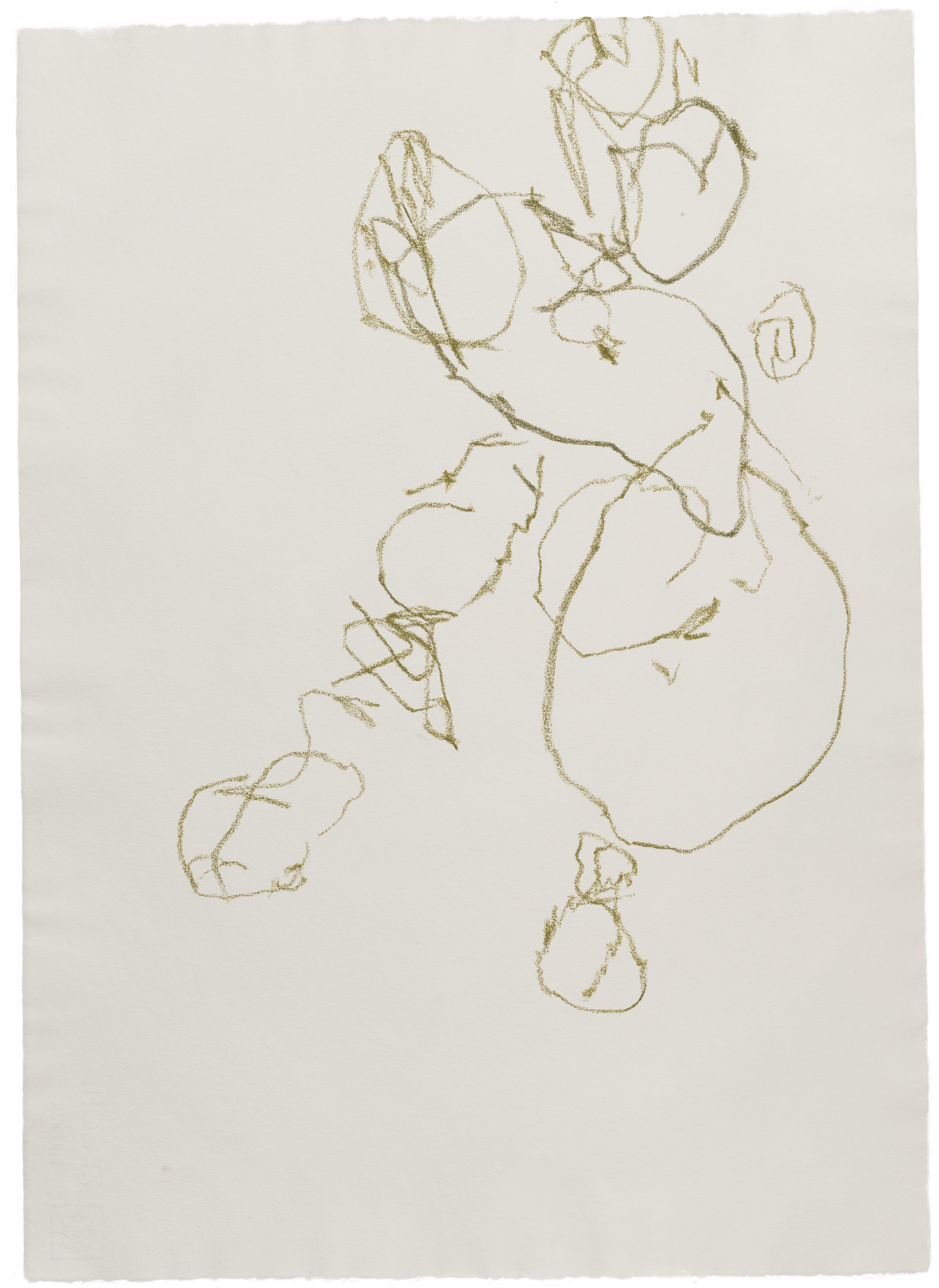 Body Drawing 125 — (2025) — pigmented graphite on paper — 58 x 78 cm