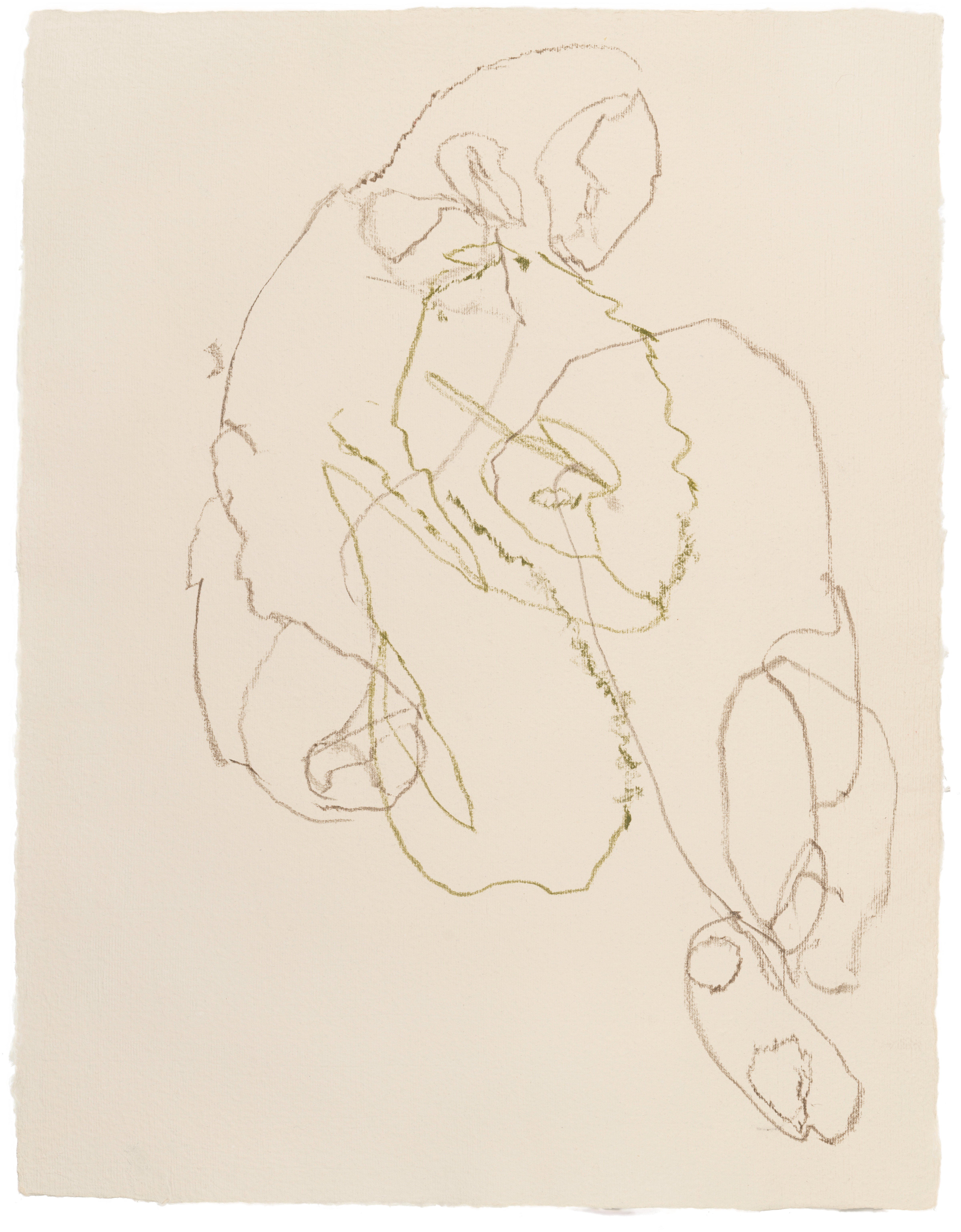 Body Drawing 126 — (2025) — pigmented graphite on paper — 58 x 78 cm