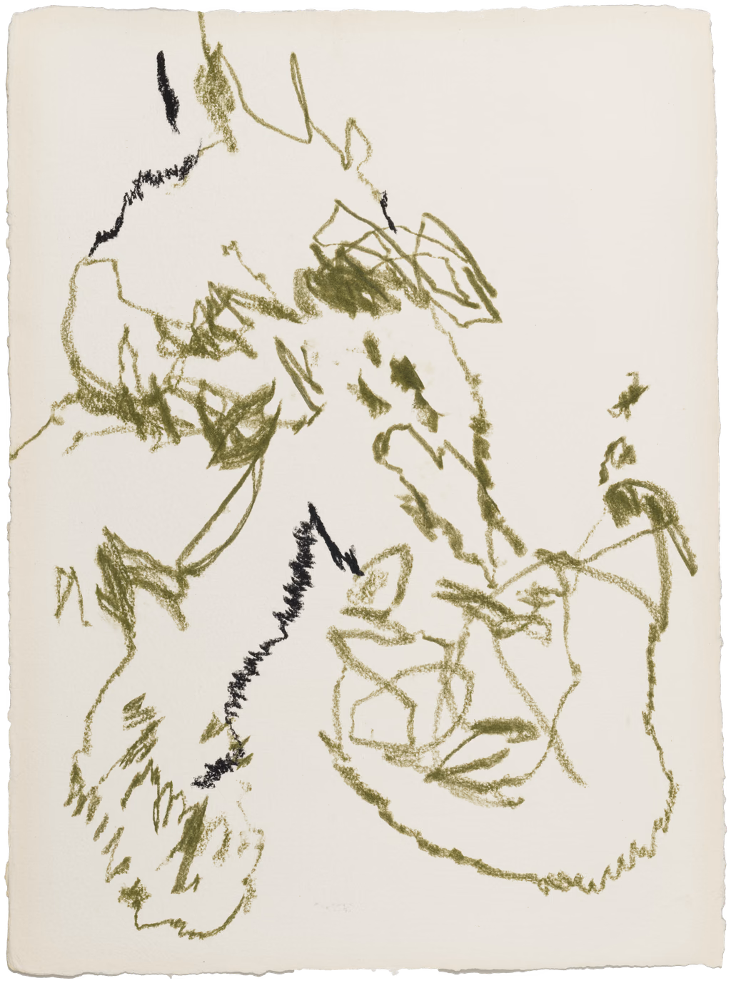 Body Drawing 133