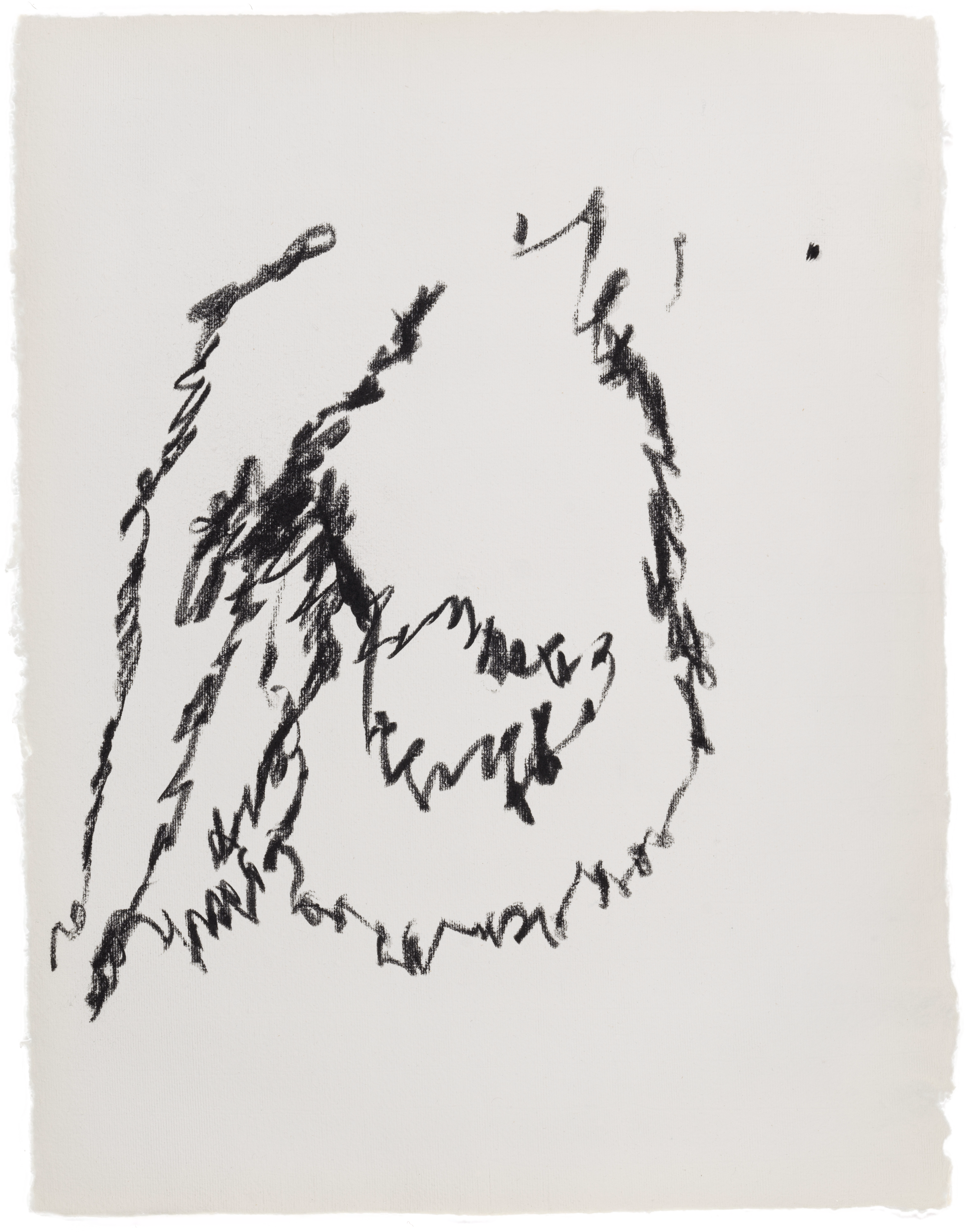 Body Drawing 137 — (2025) — charcoal on paper — 58 x 78 cm