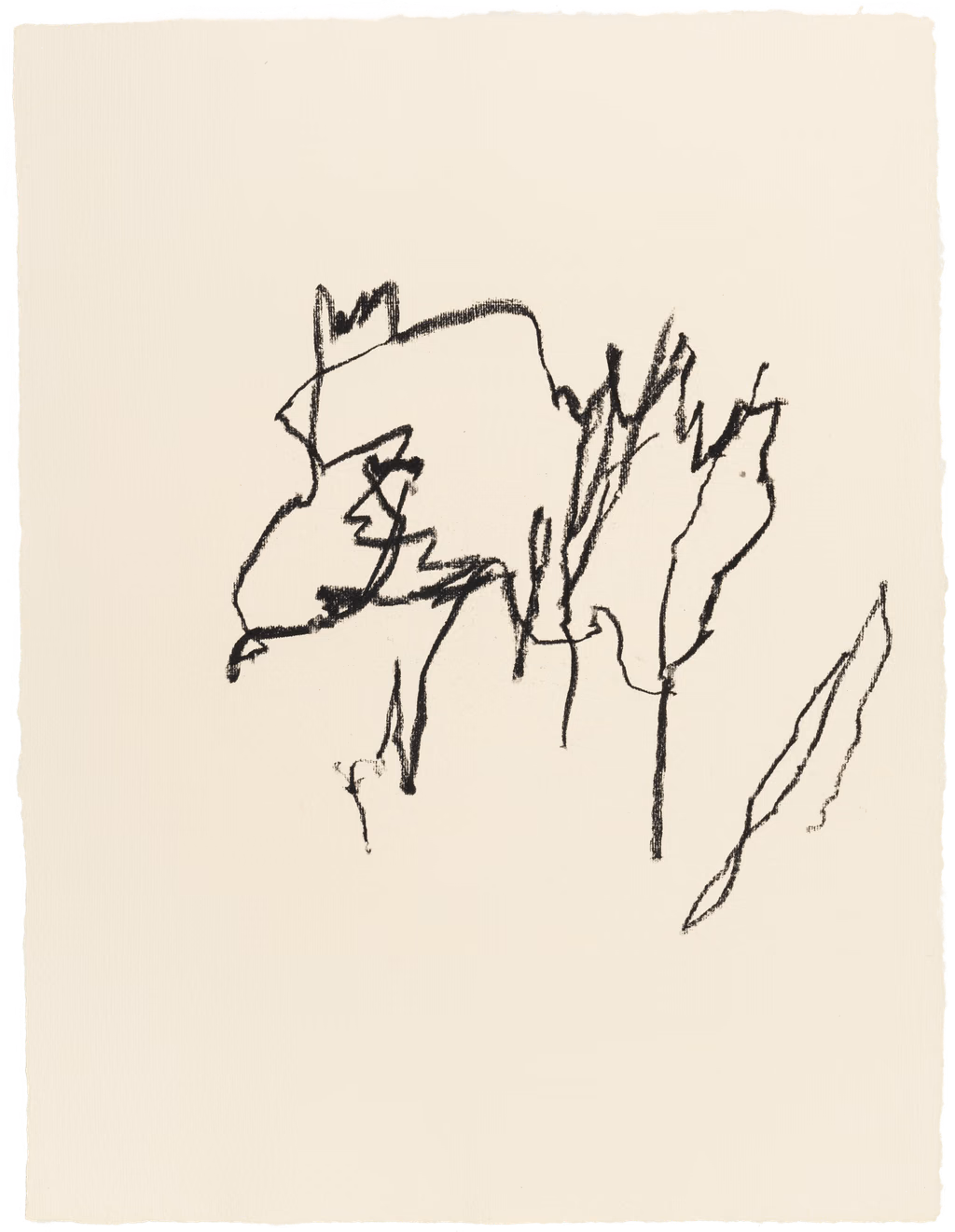 Body Drawing 15