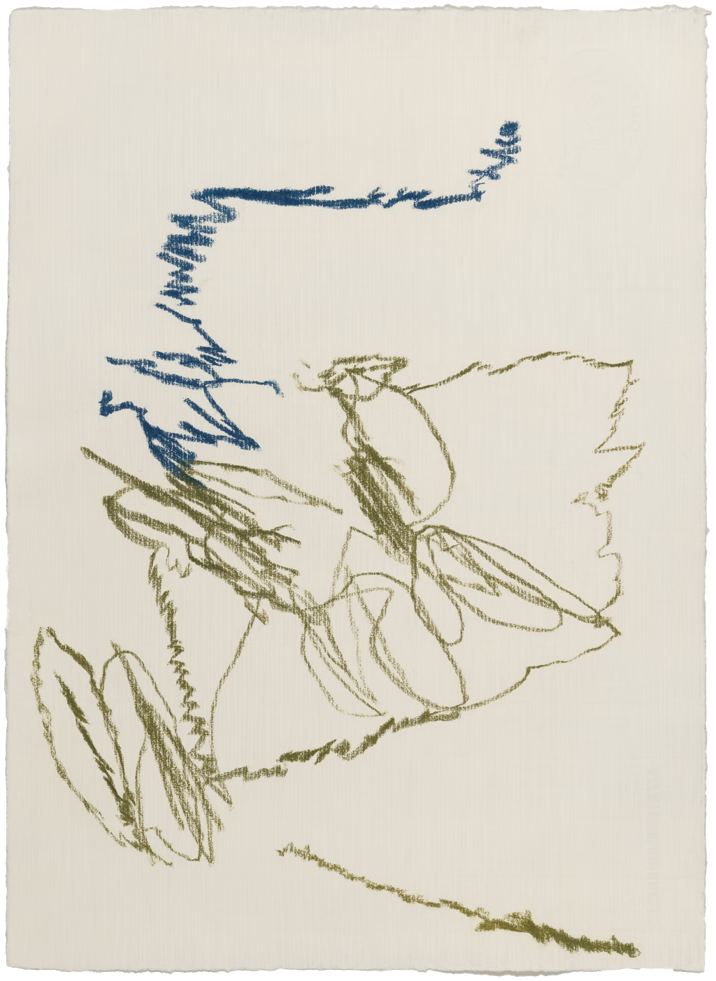 Body Drawing 157