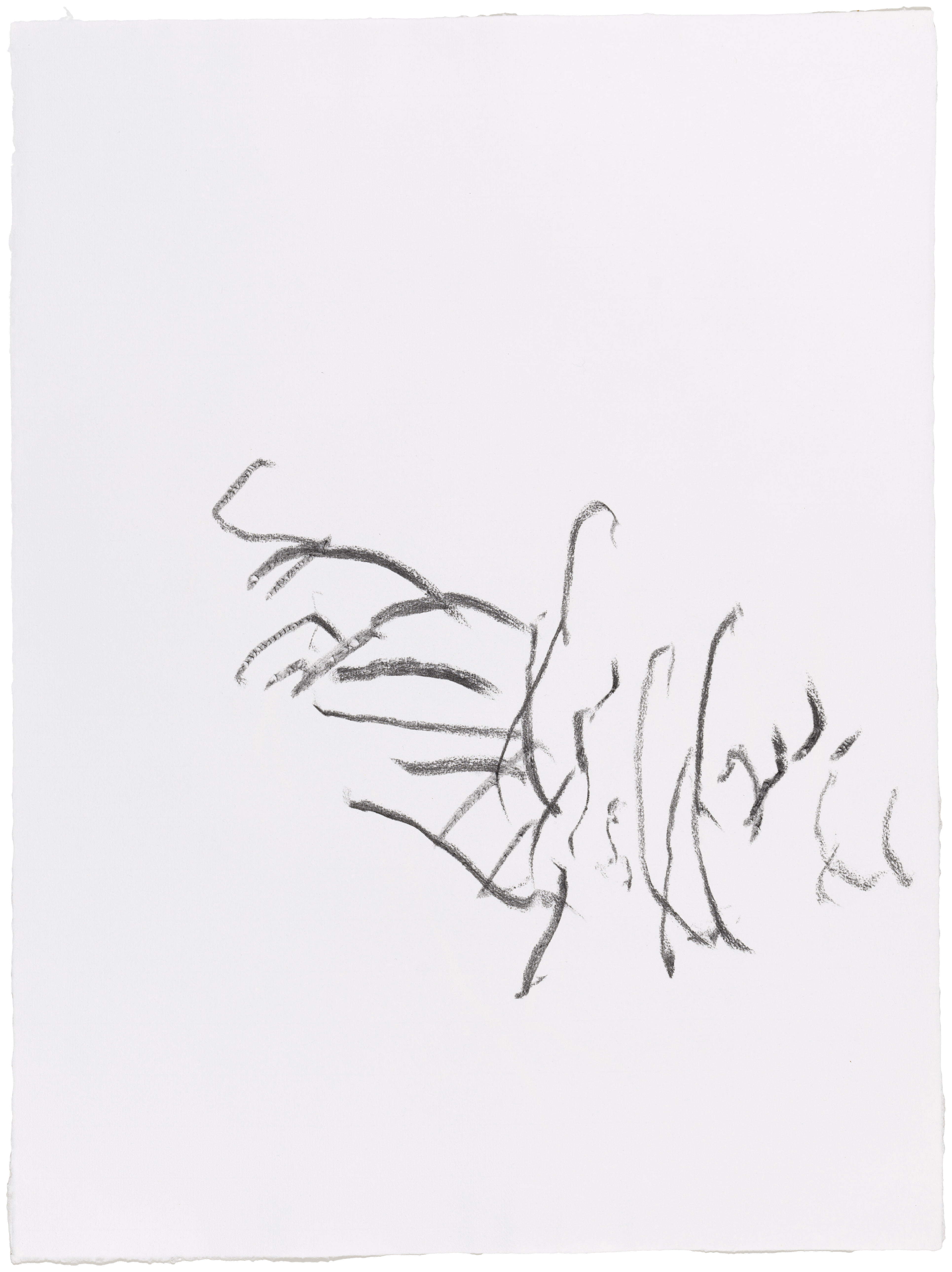 Body Drawing 16 — (2022) — charcoal on paper — 58 x 78 cm