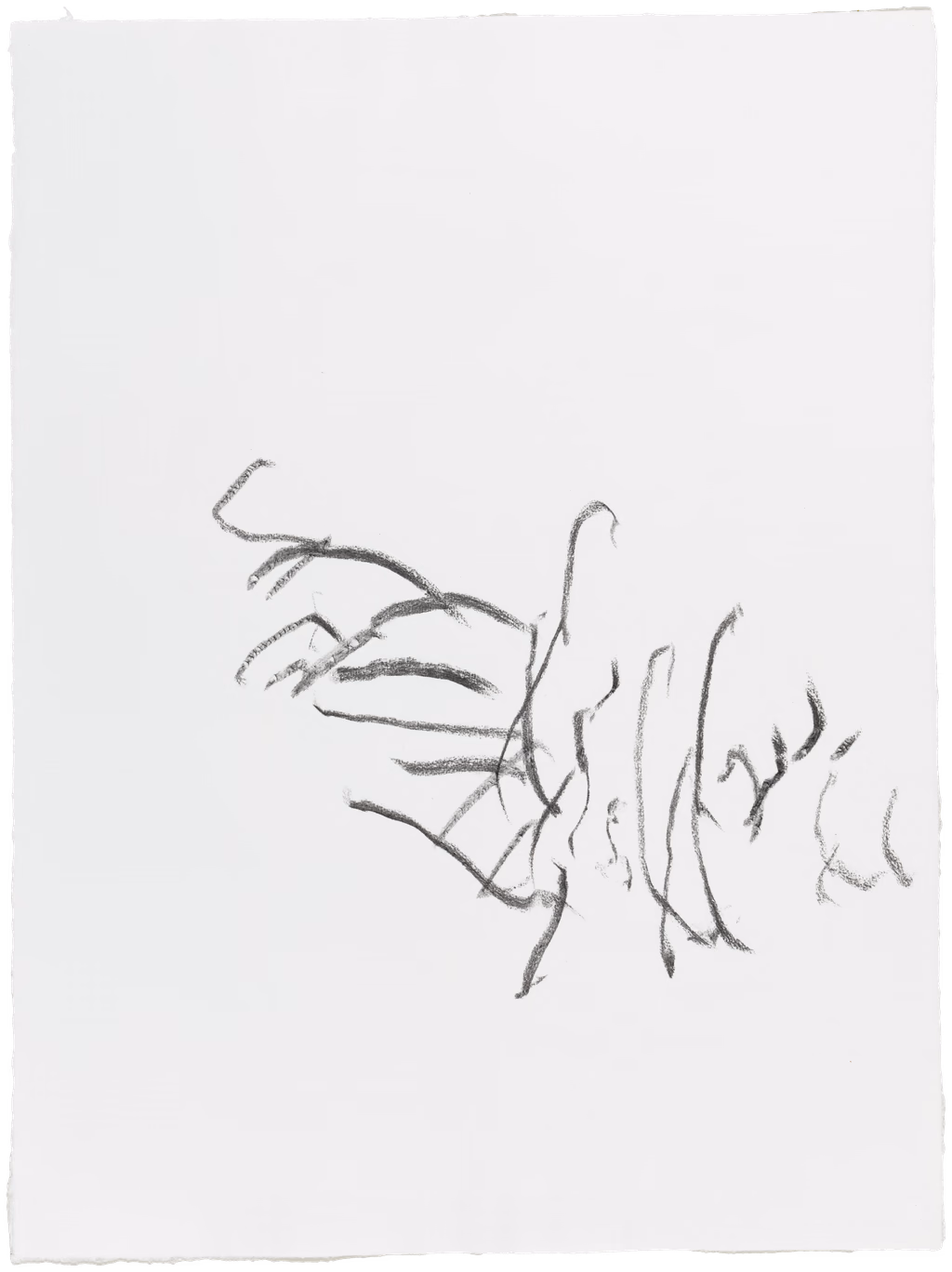 Body Drawing 16