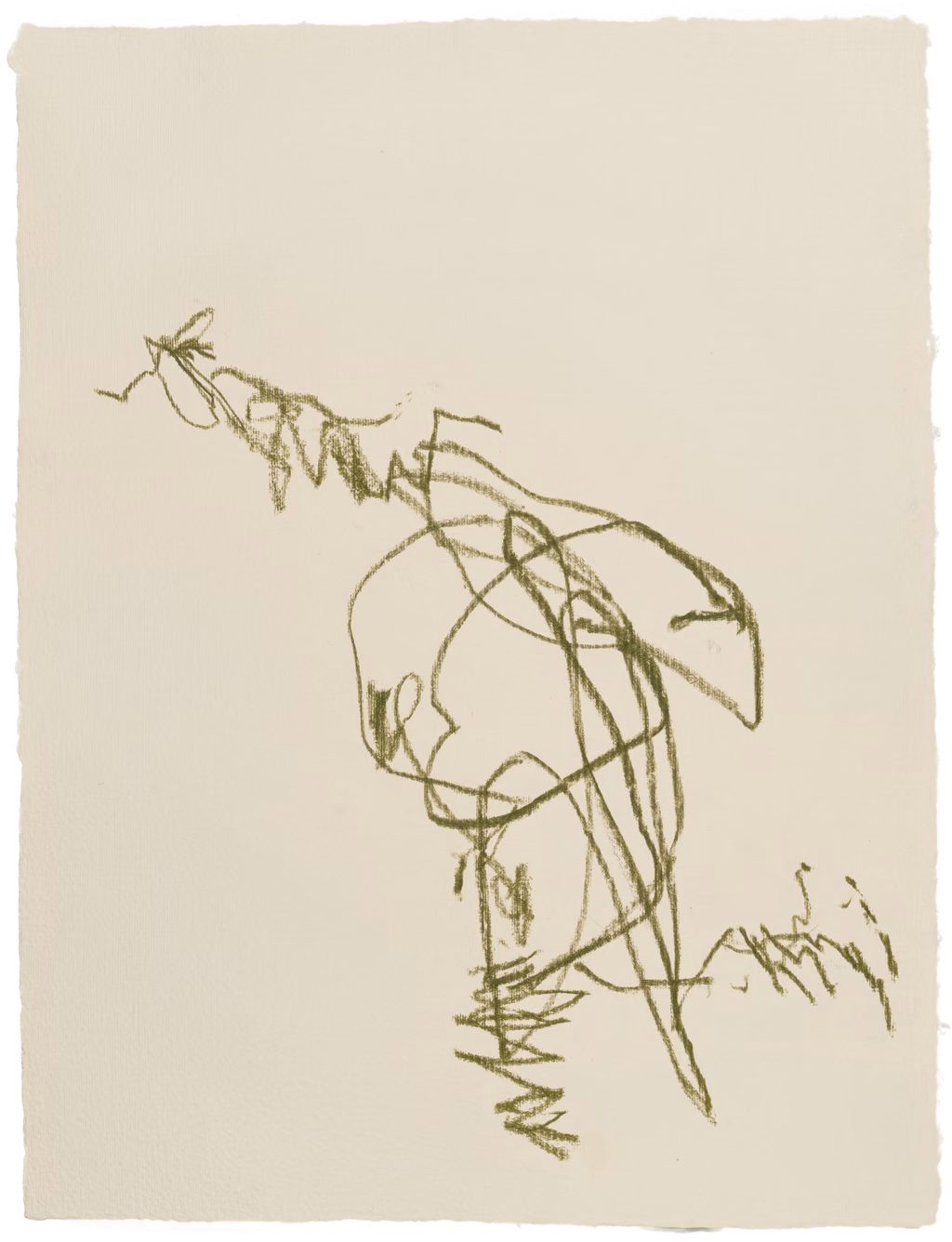 Body Drawing 162