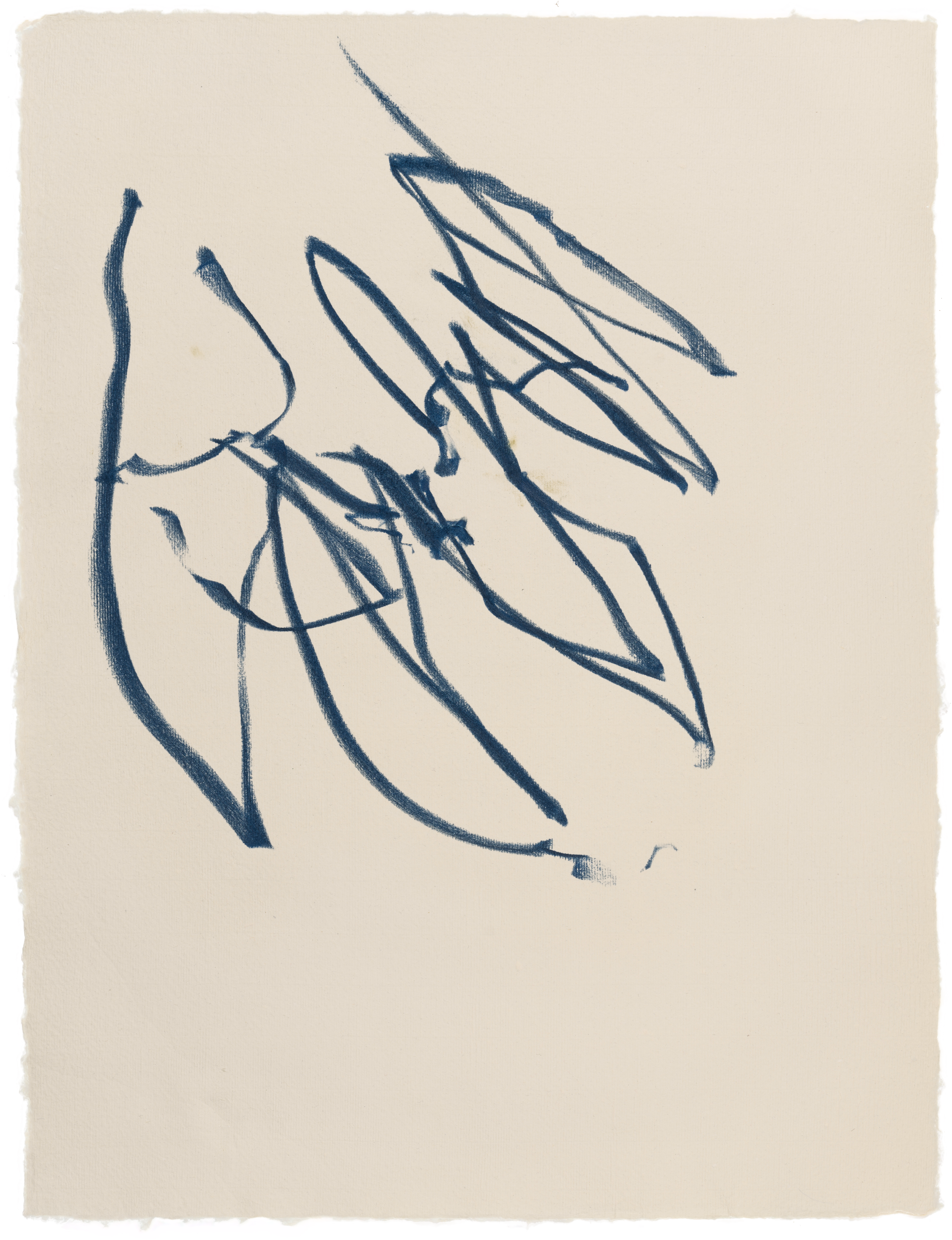 Body Drawing 164 — (2025) — pigmented graphite on paper — 58 x 78 cm