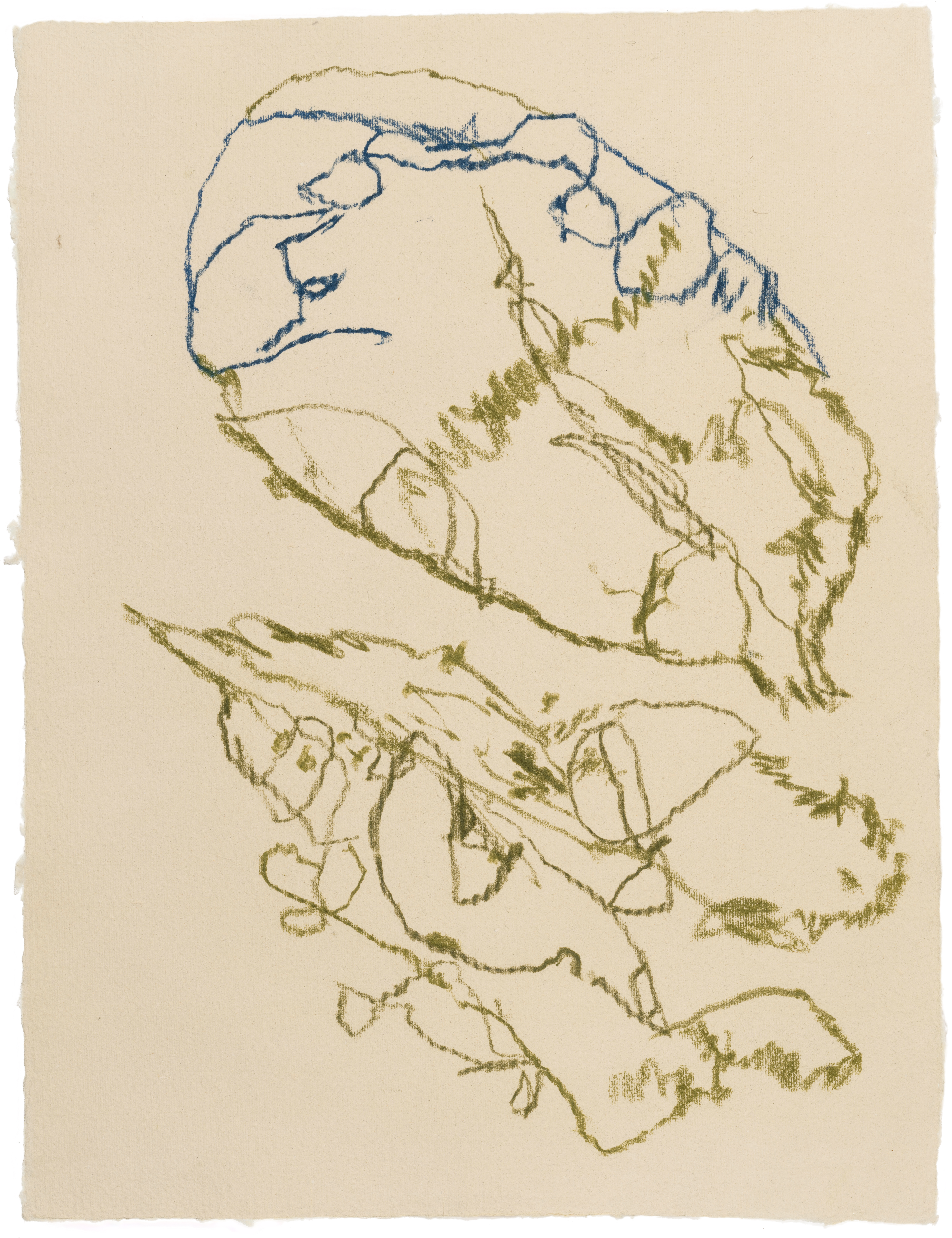 Body Drawing 167 — (2025) — pigmented graphite on paper — 58 x 78 cm