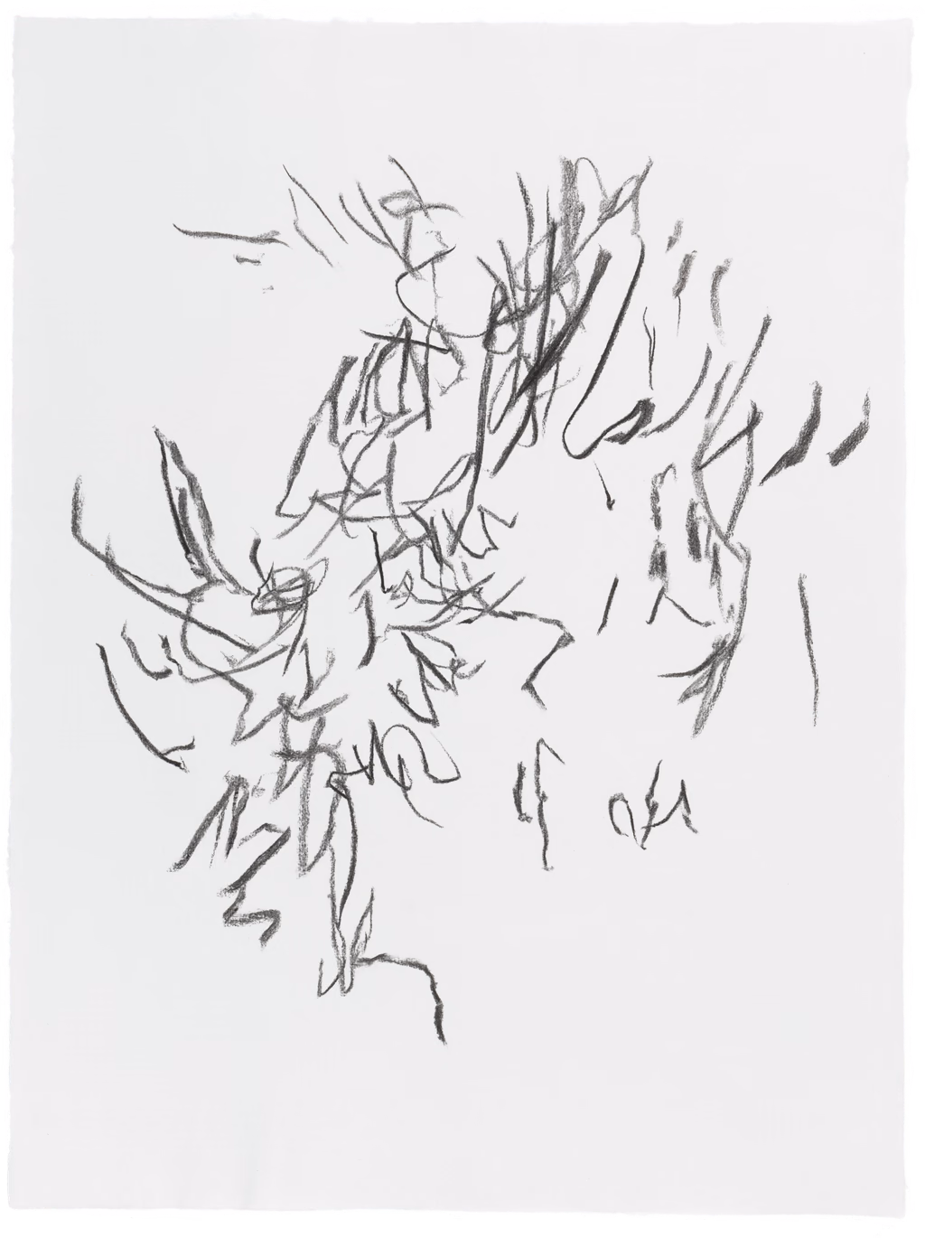 Body Drawing 17