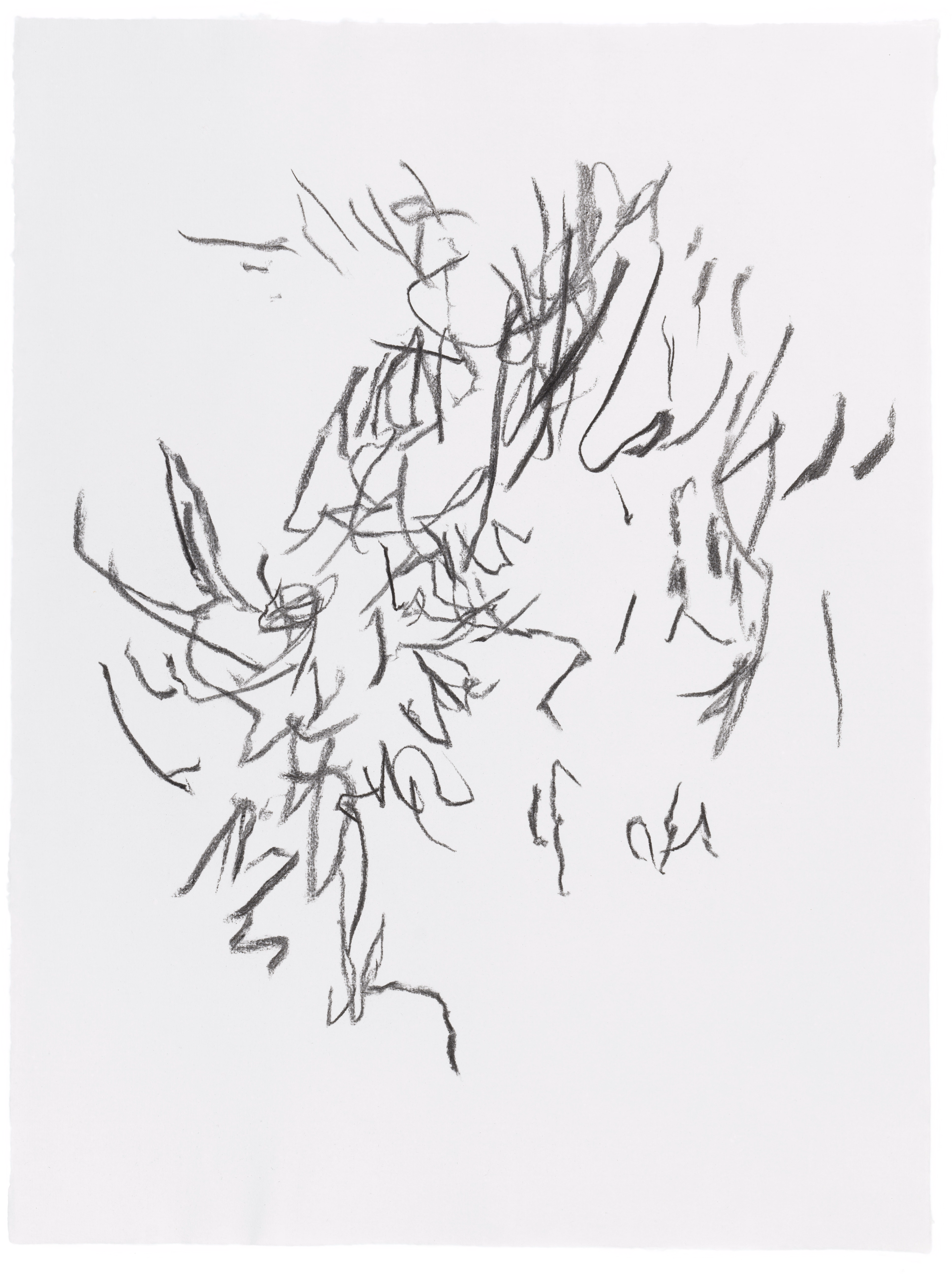 Body Drawing 17 — (2022) — charcoal on paper — 58 x 78 cm