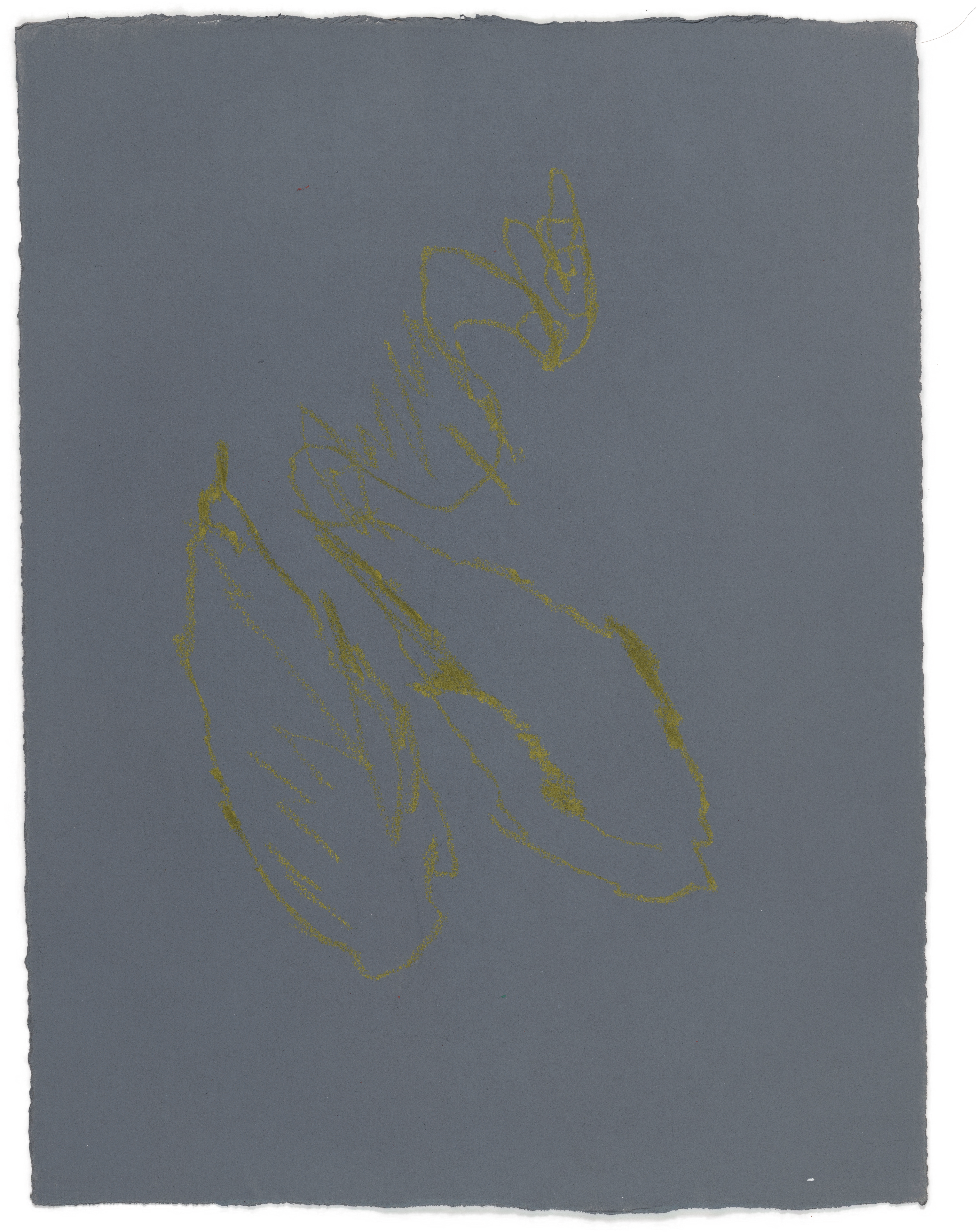 Body Drawing 174 — (2025) — acrylic and pigmented graphite on paper — 58 x 78 cm