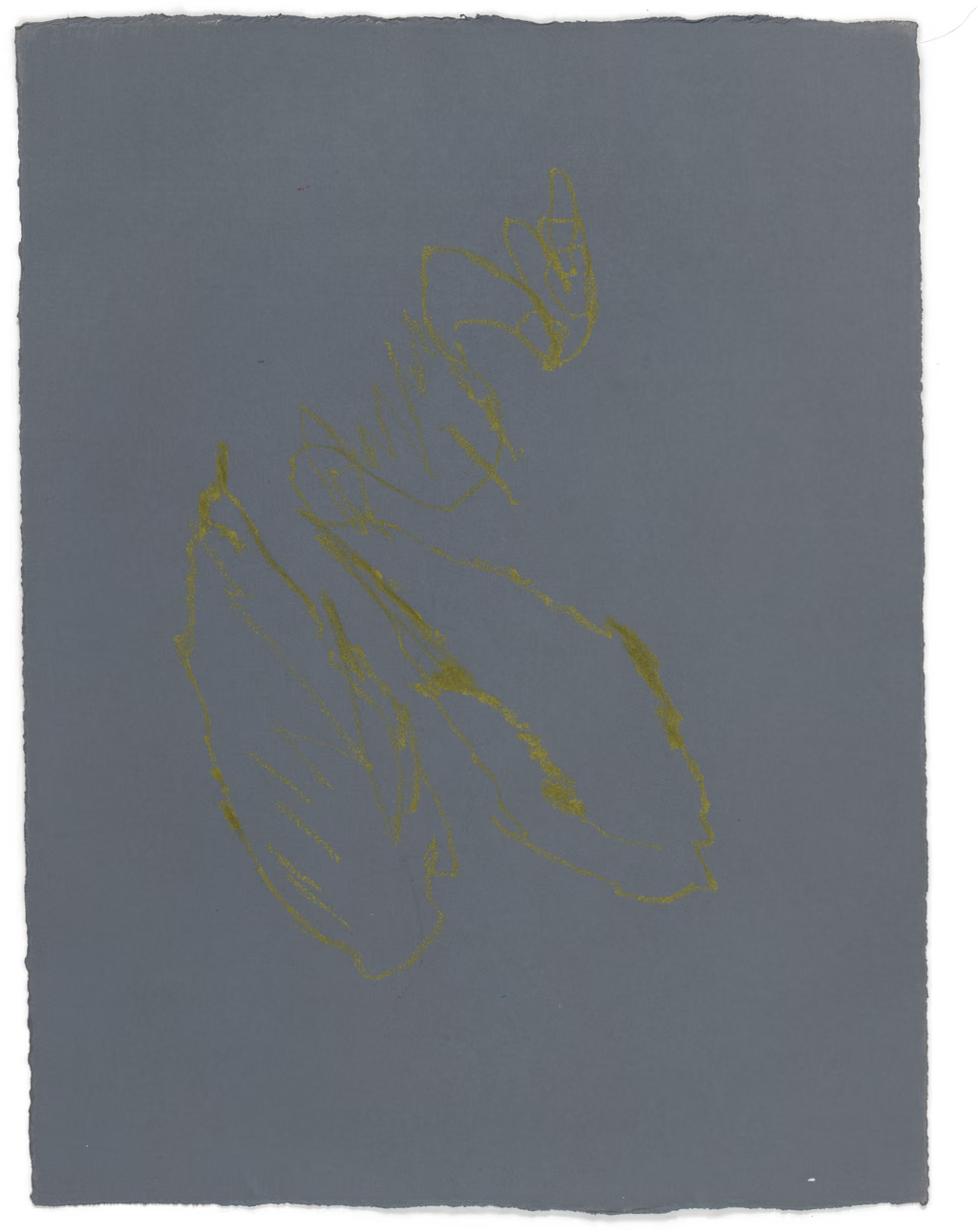 Body Drawing 174