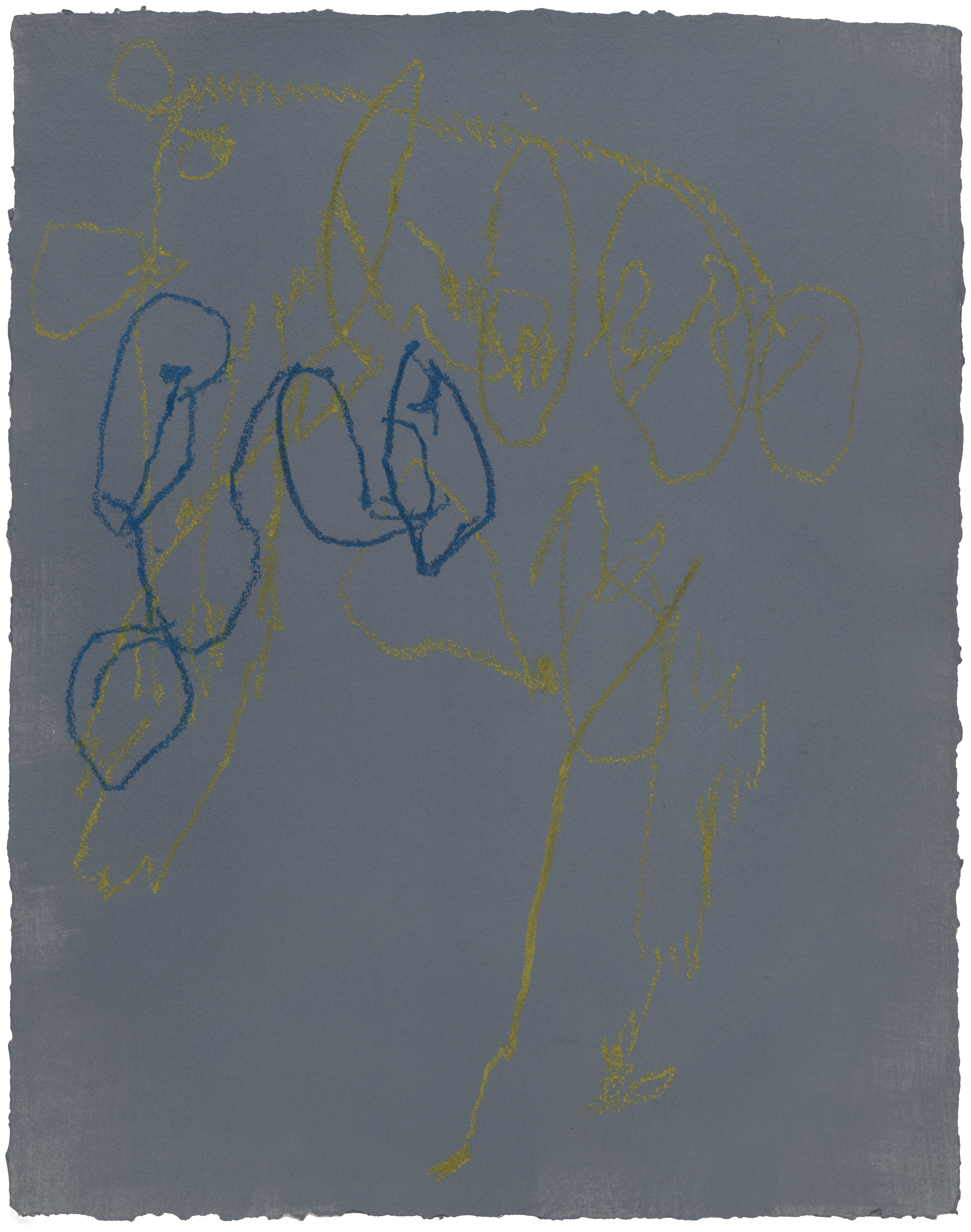 Body Drawing 175 — (2025) — acrylic and pigmented graphite on paper — 58 x 78 cm