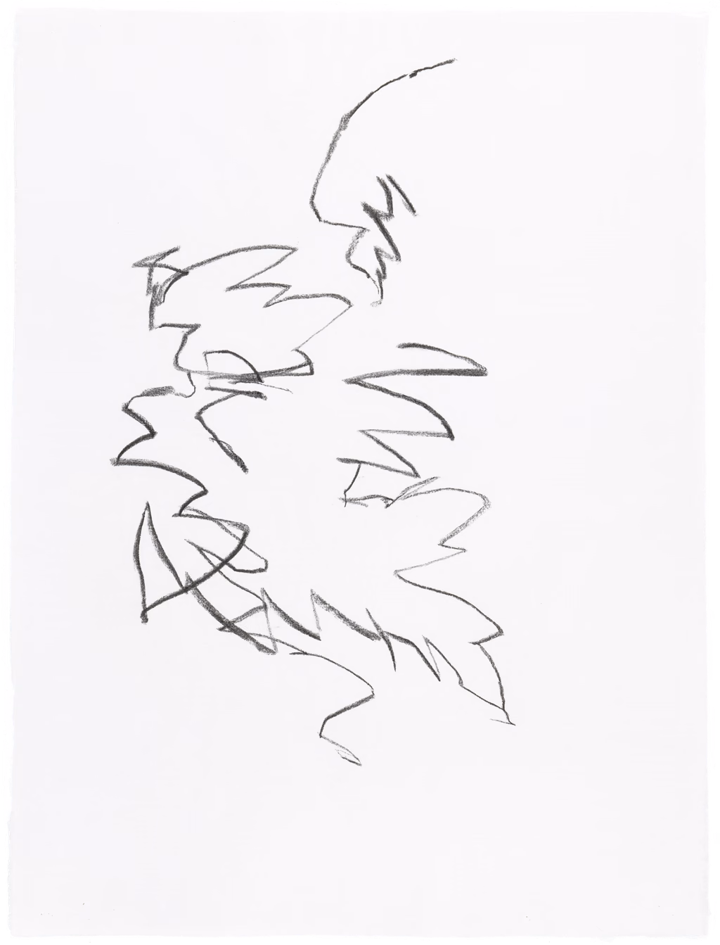 Body Drawing 31