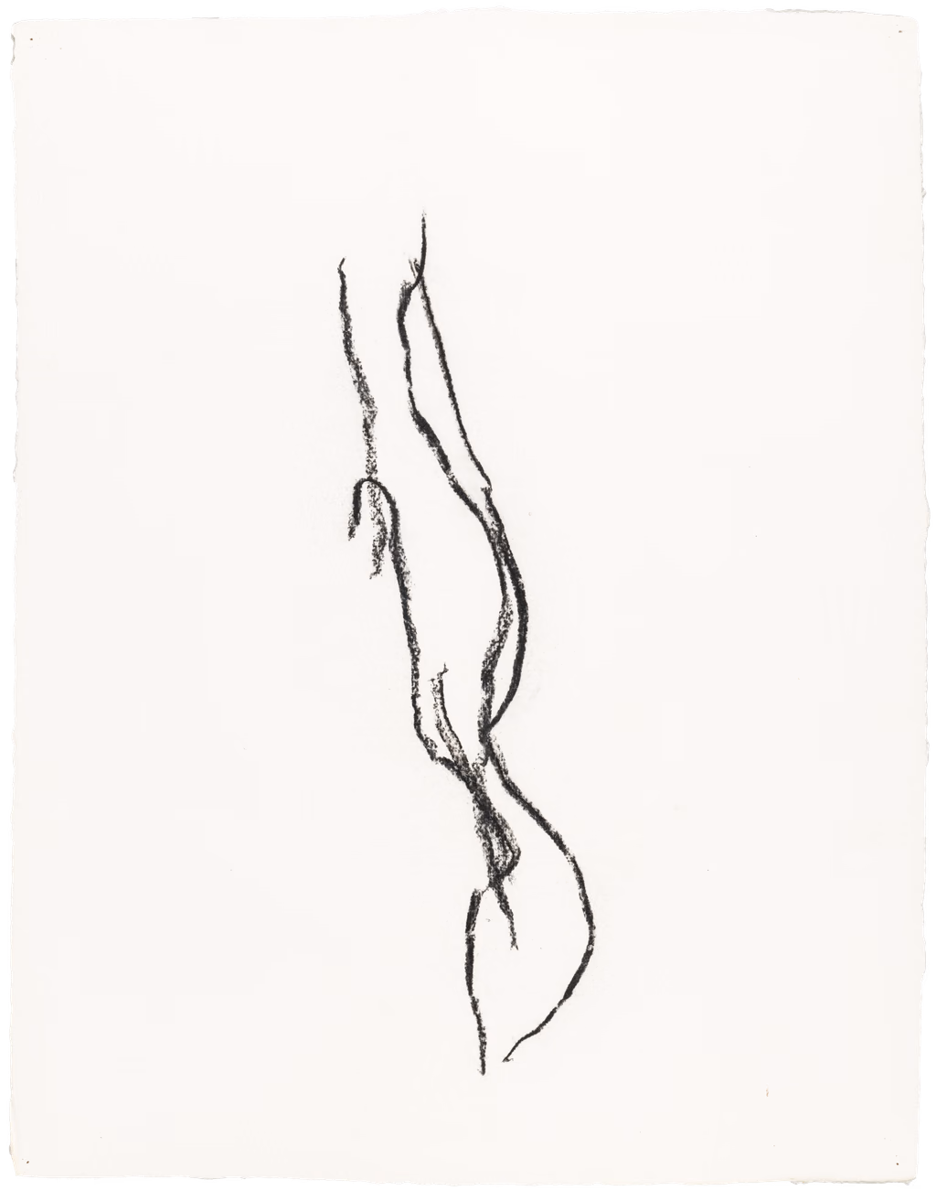 Body Drawing 37