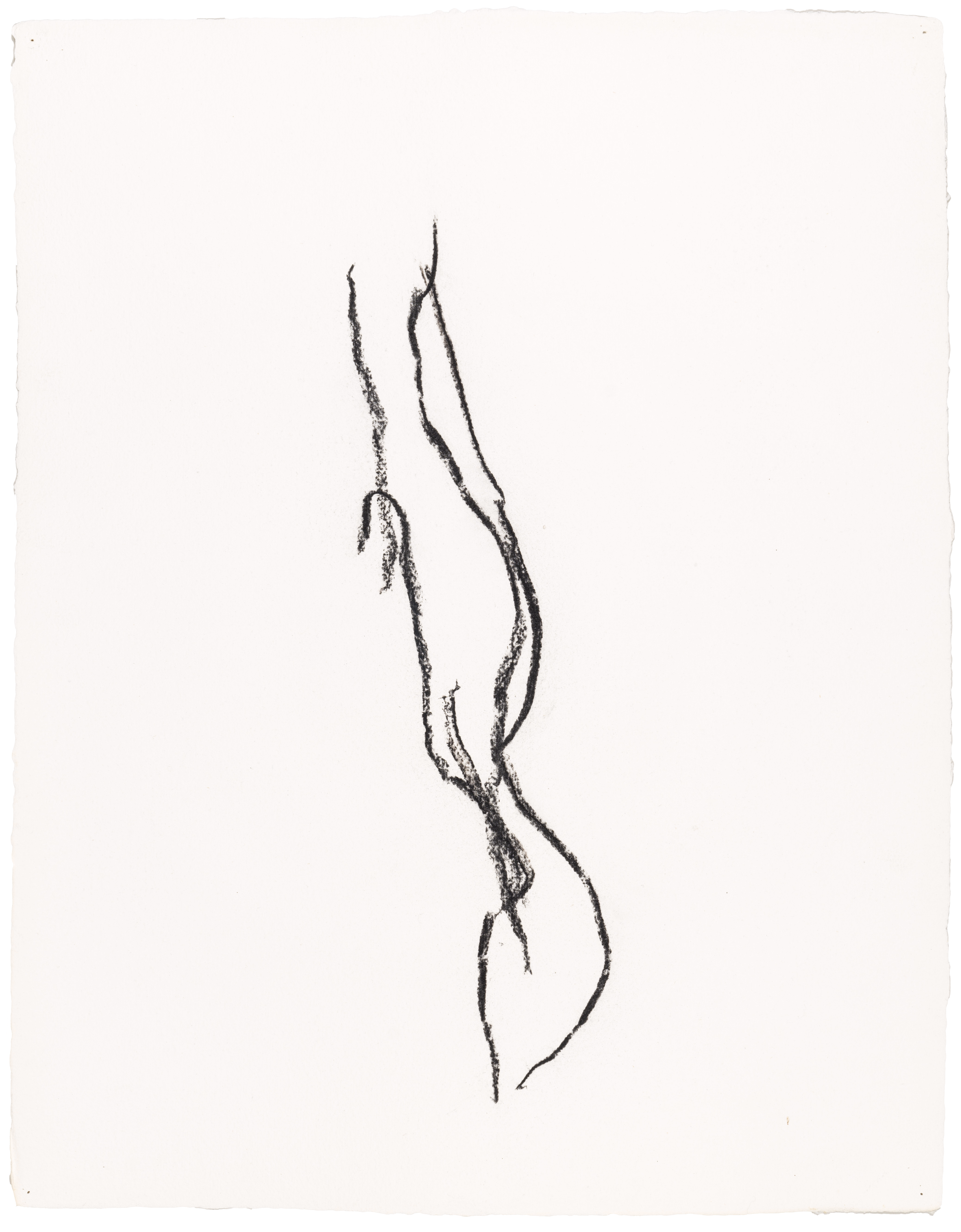 Body Drawing 37 — (2023) — charcoal on paper — 58 x 78 cm