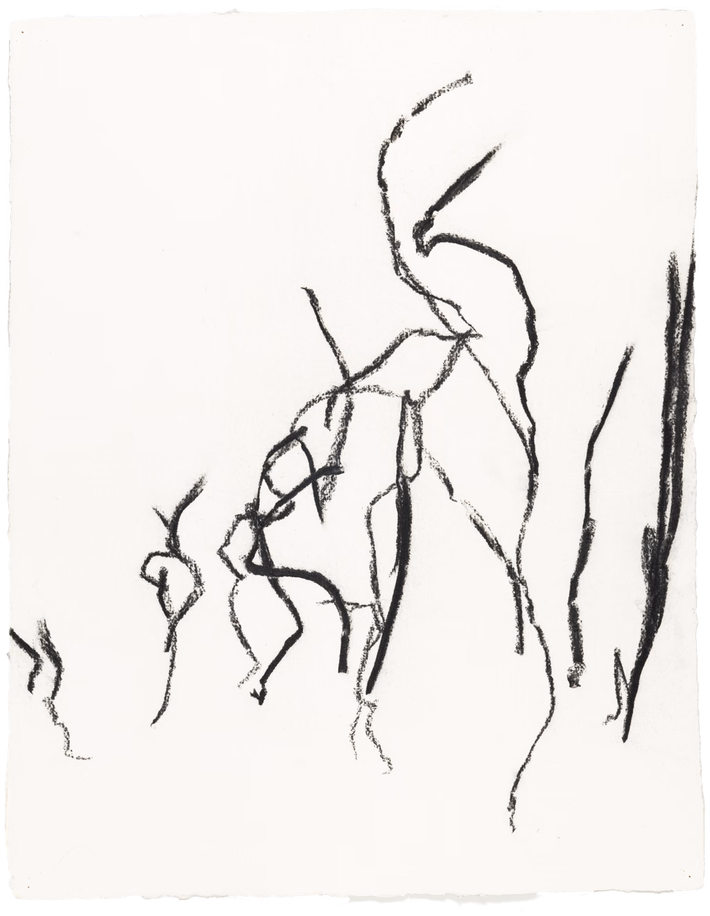 Body Drawing 39