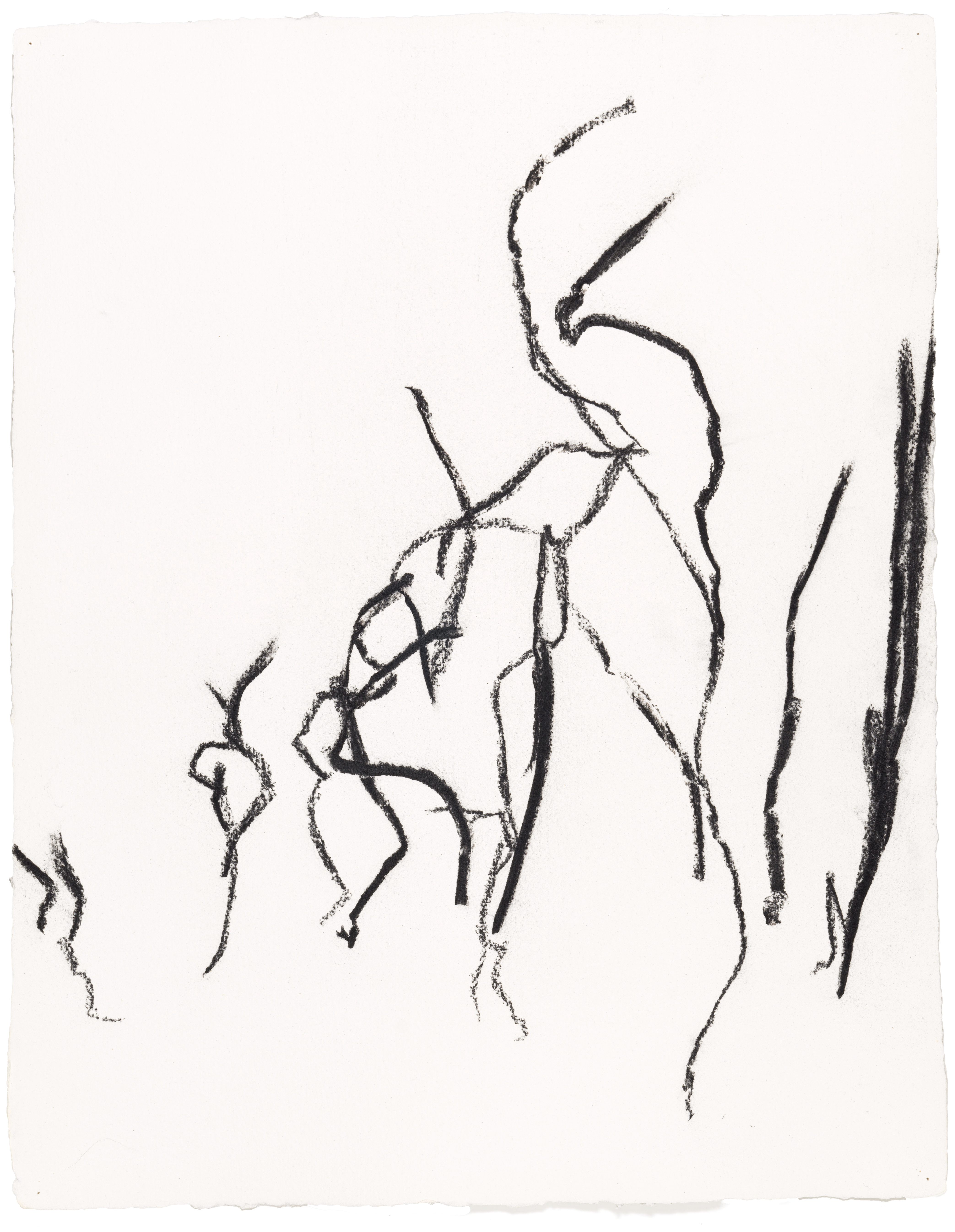 Body Drawing 39 — (2023) — charcoal on paper — 58 x 78 cm