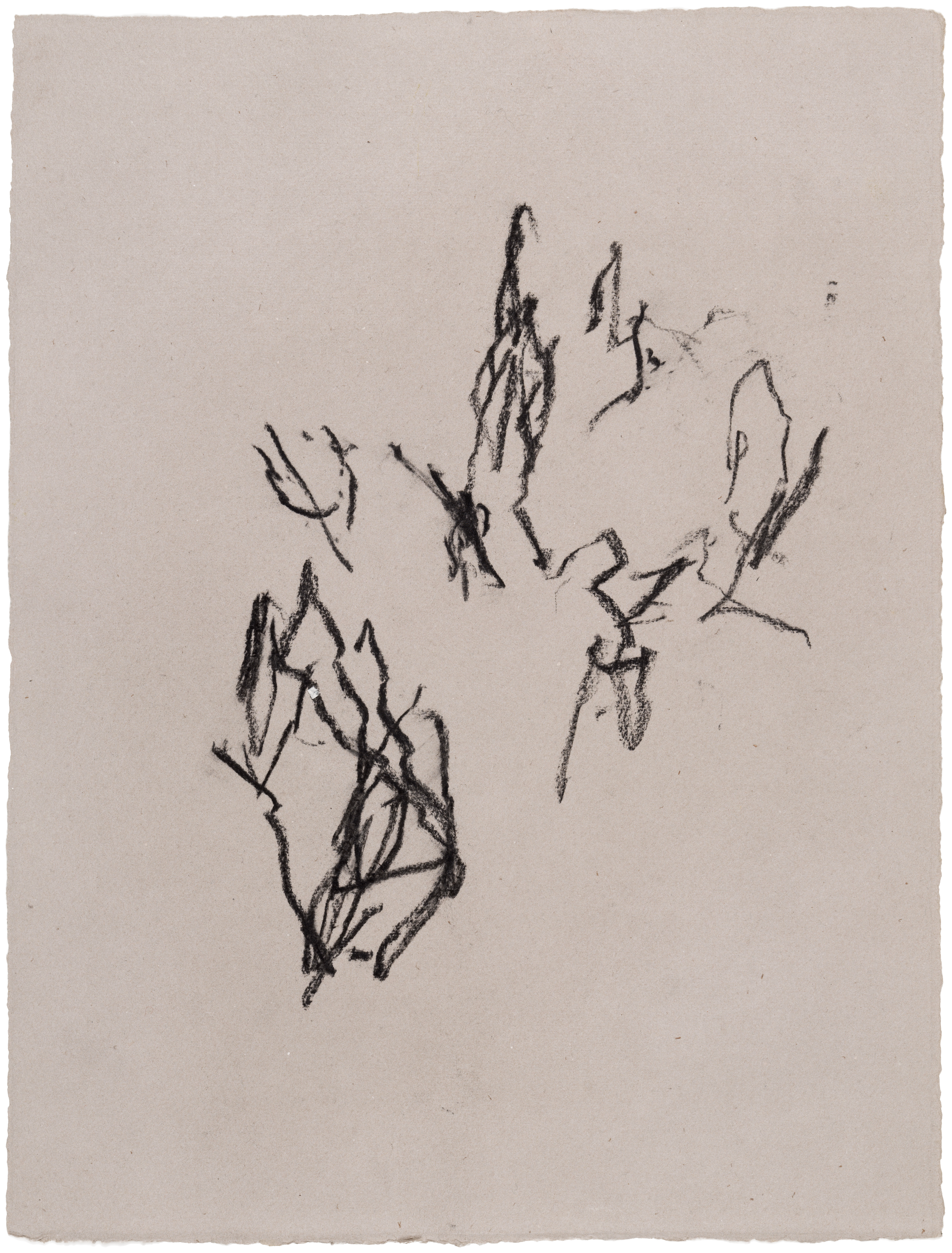 Body Drawing 42 — (2023) — charcoal on paper — 58 x 78 cm