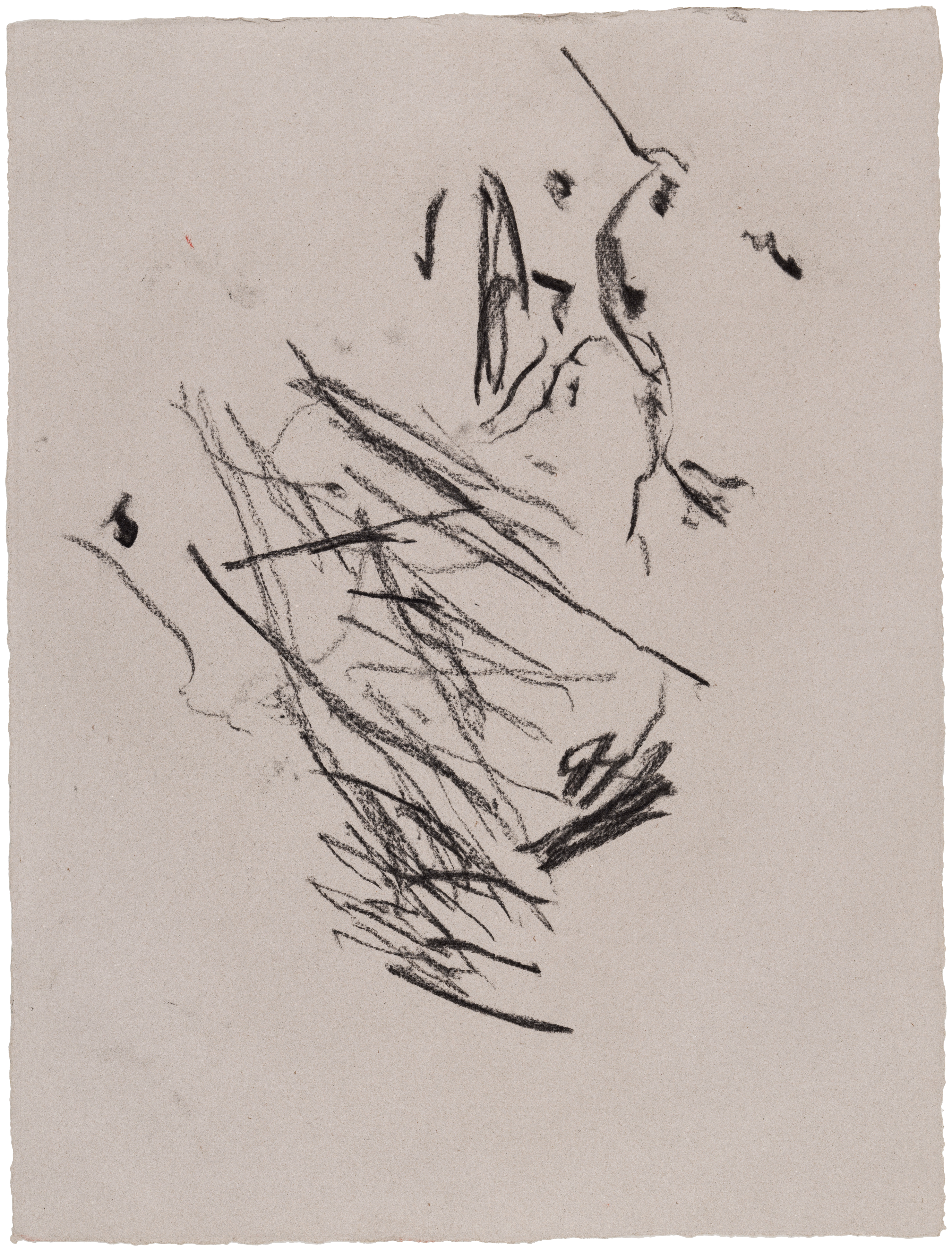 Body Drawing 45 — (2023) — charcoal on paper — 58 x 78 cm