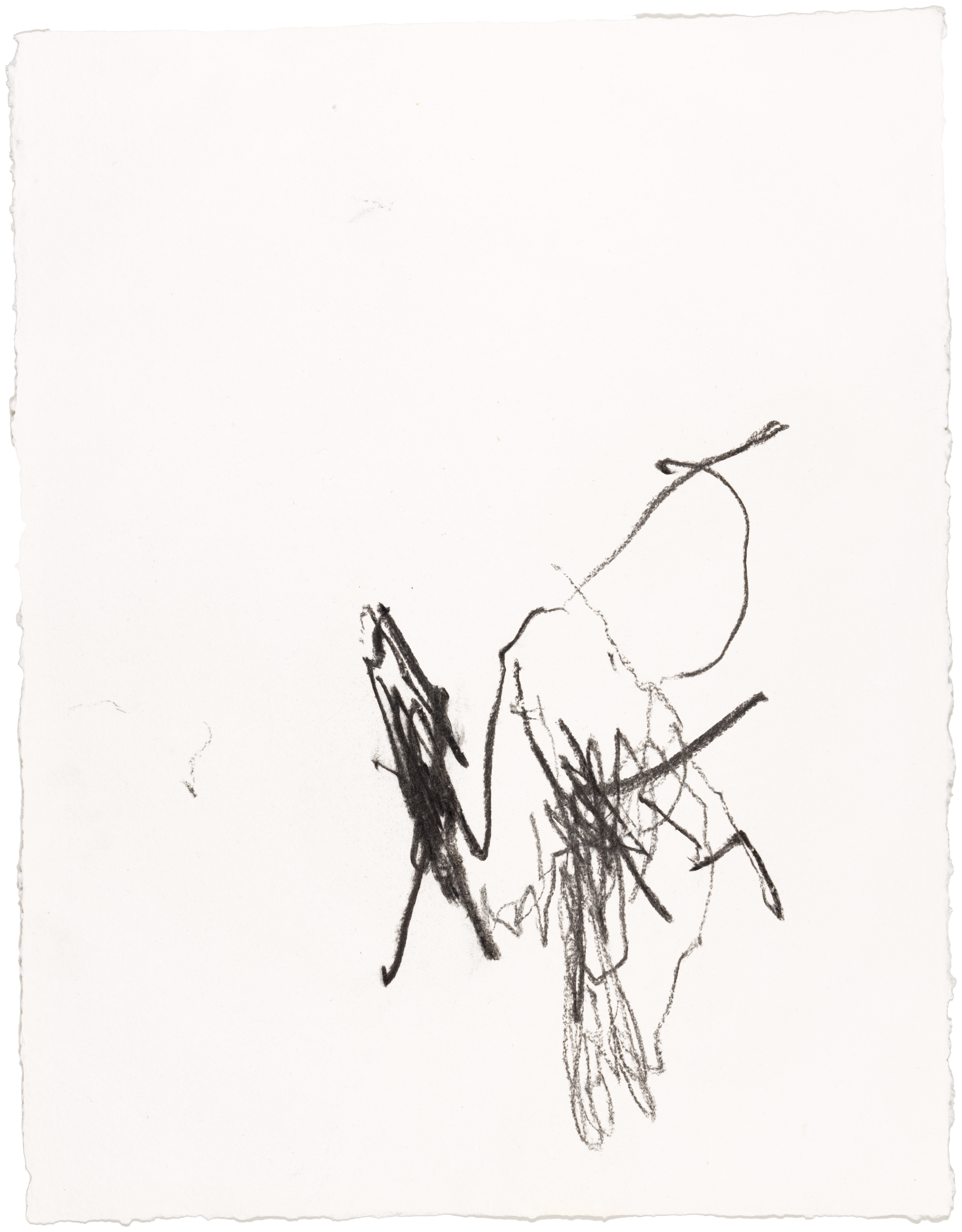 Body Drawing 46 — (2023) — charcoal on paper — 58 x 78 cm