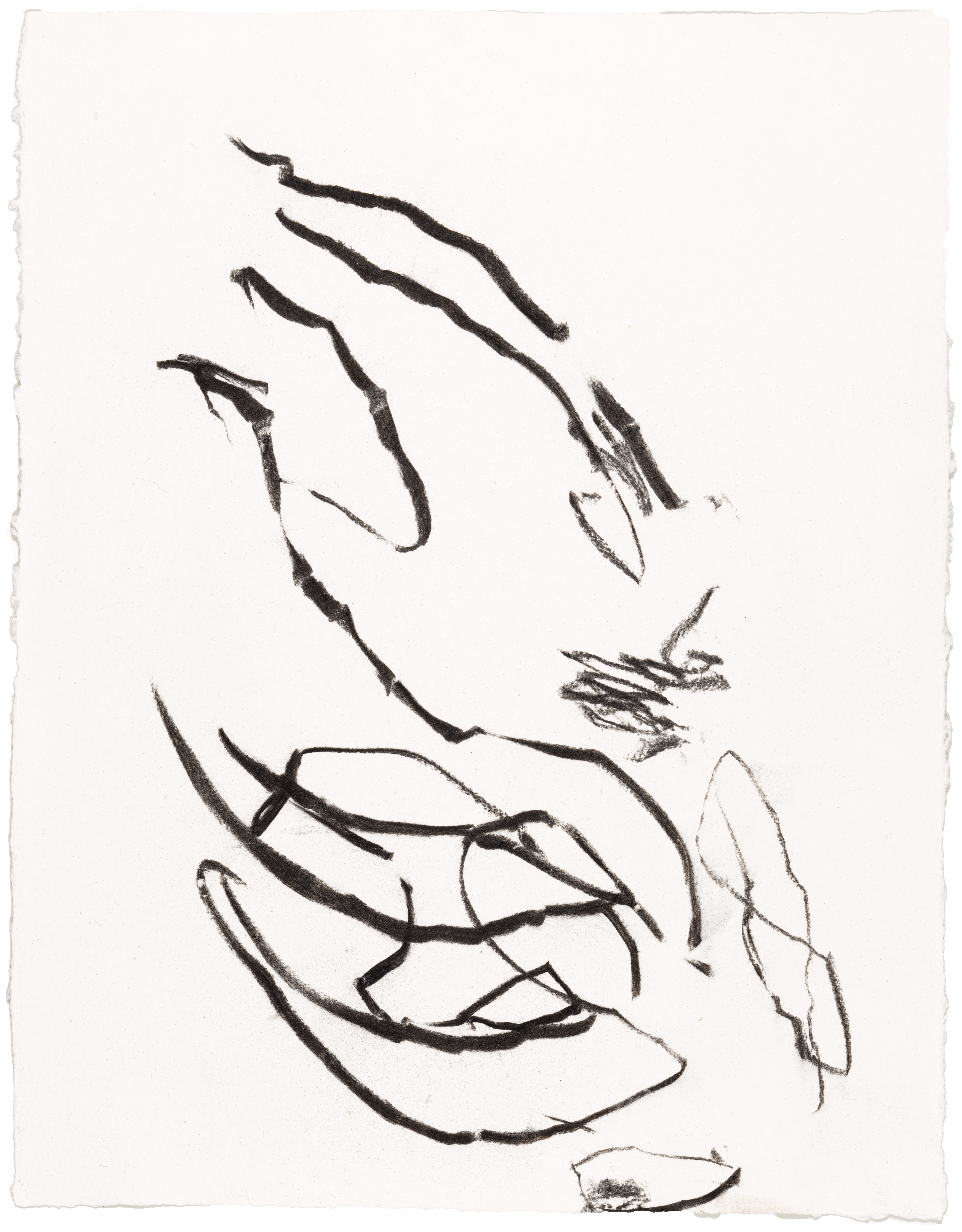 Body Drawing 47 — (2023) — charcoal on paper — 58 x 78 cm