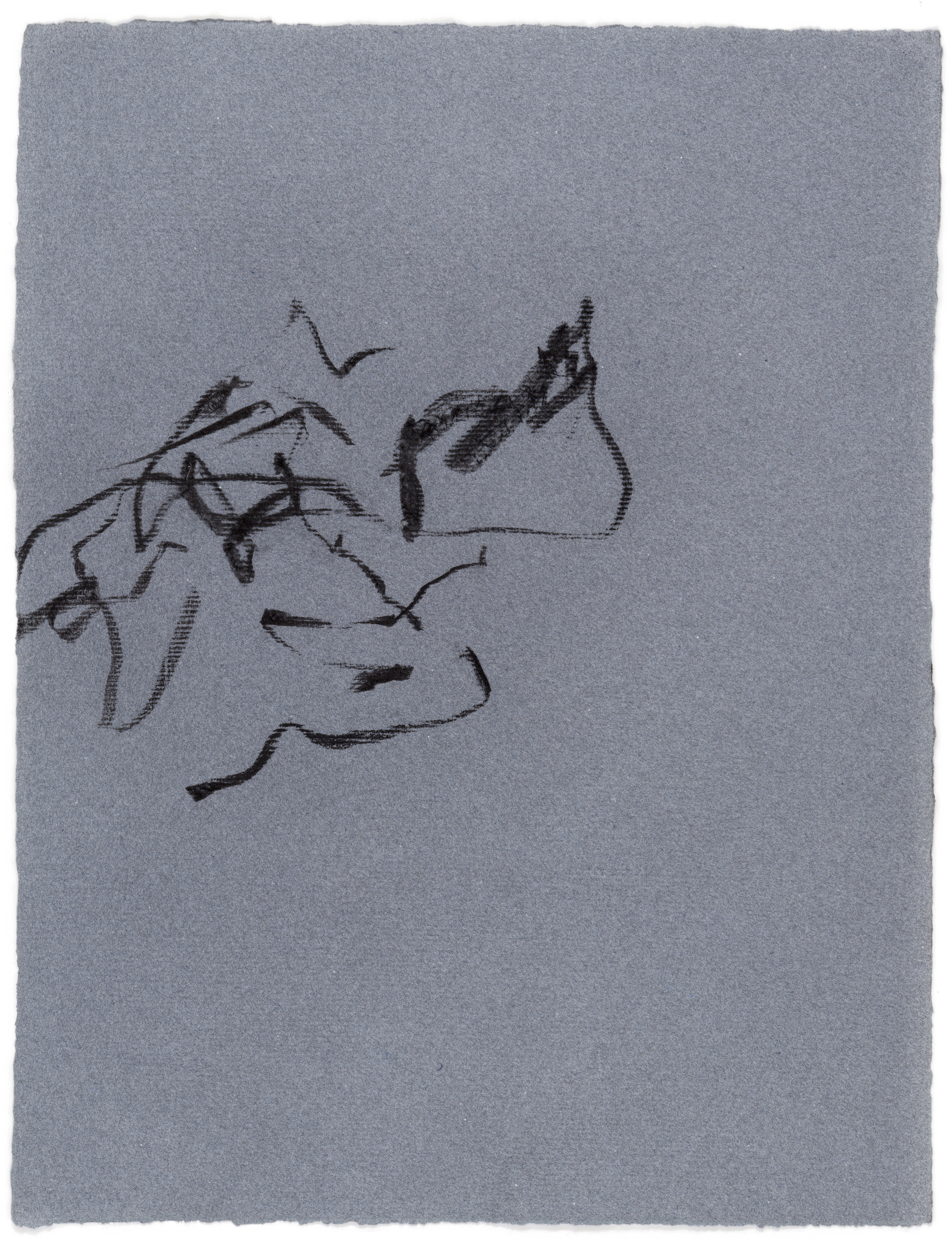 Body Drawing 50 — (2023) — charcoal on paper — 58 x 78 cm