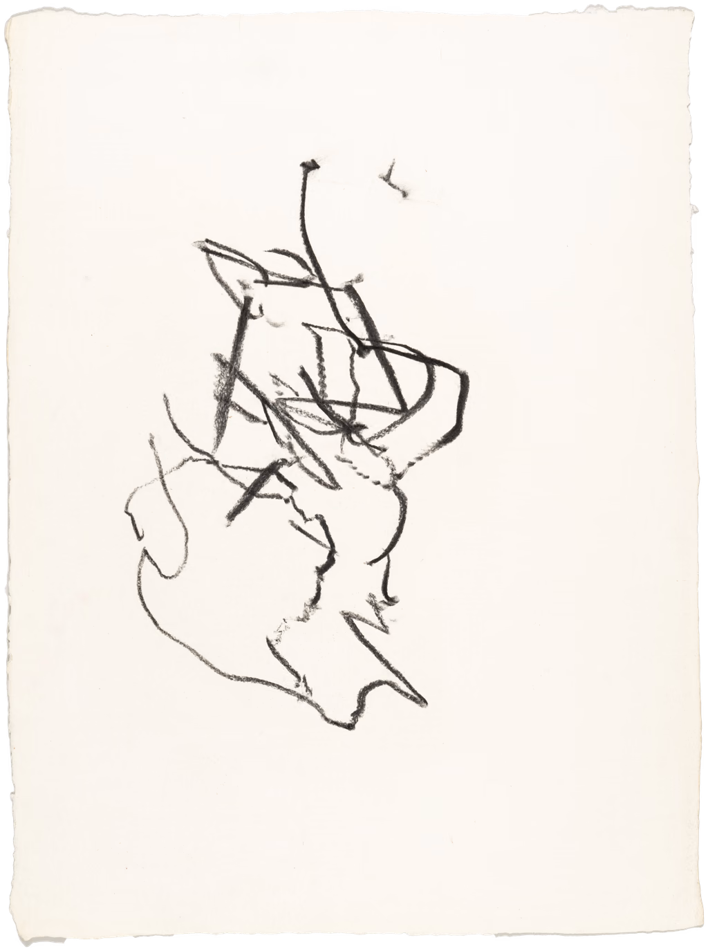 Body Drawing 51
