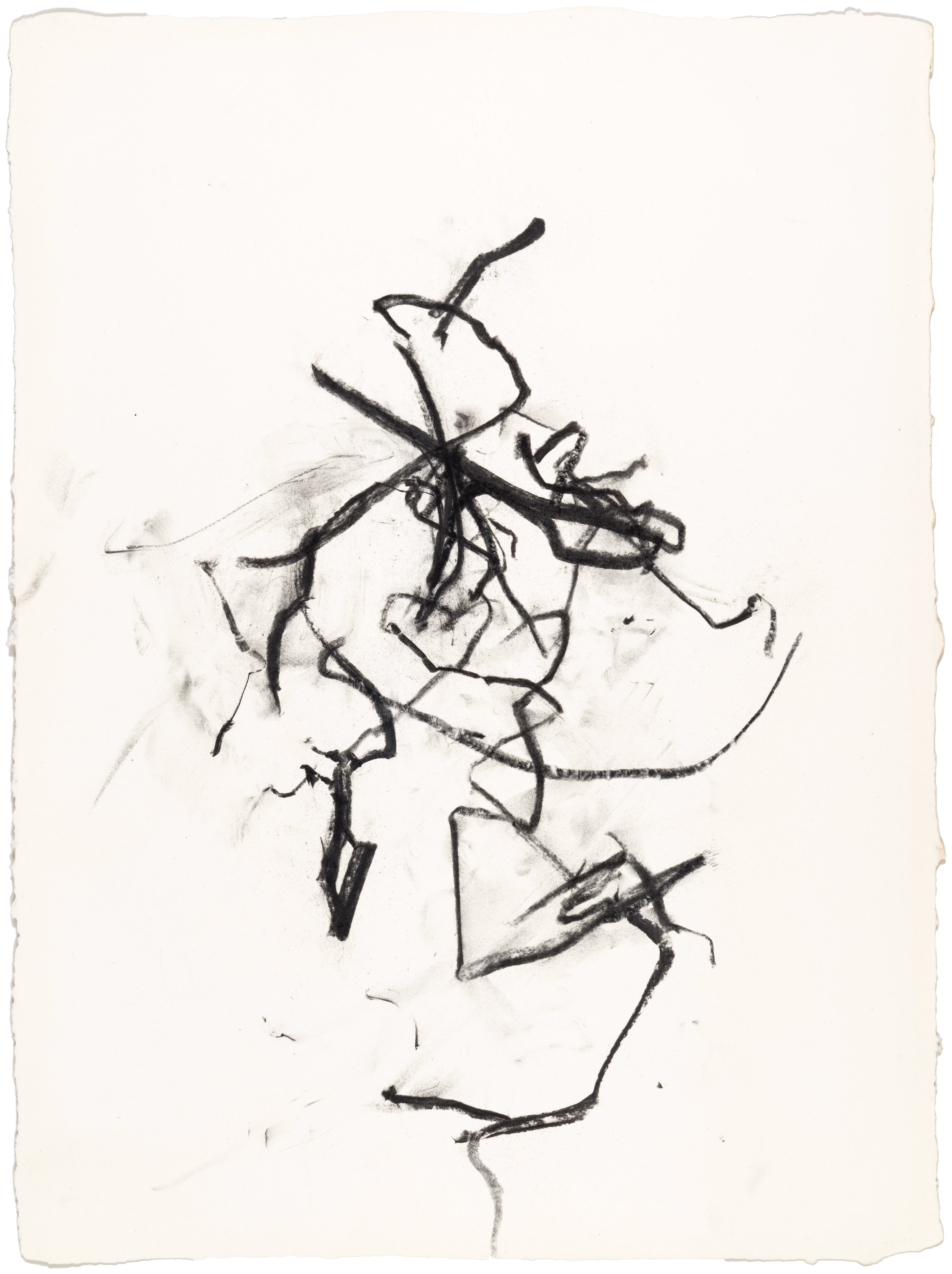 Body Drawing 62 — (2023) — charcoal on paper — 58 x 78 cm