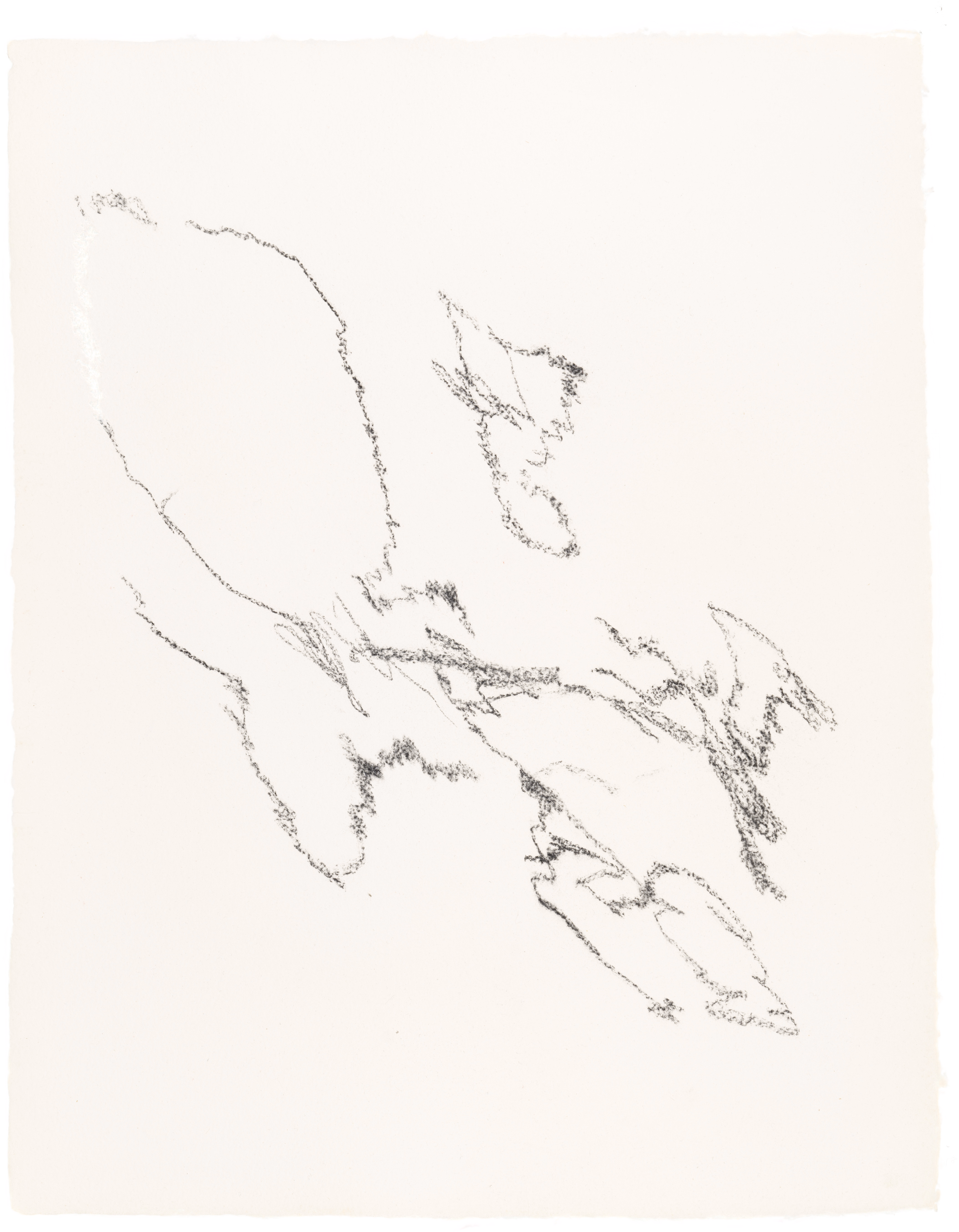 Body Drawing 78 — (2023) — charcoal on paper — 58 x 78 cm