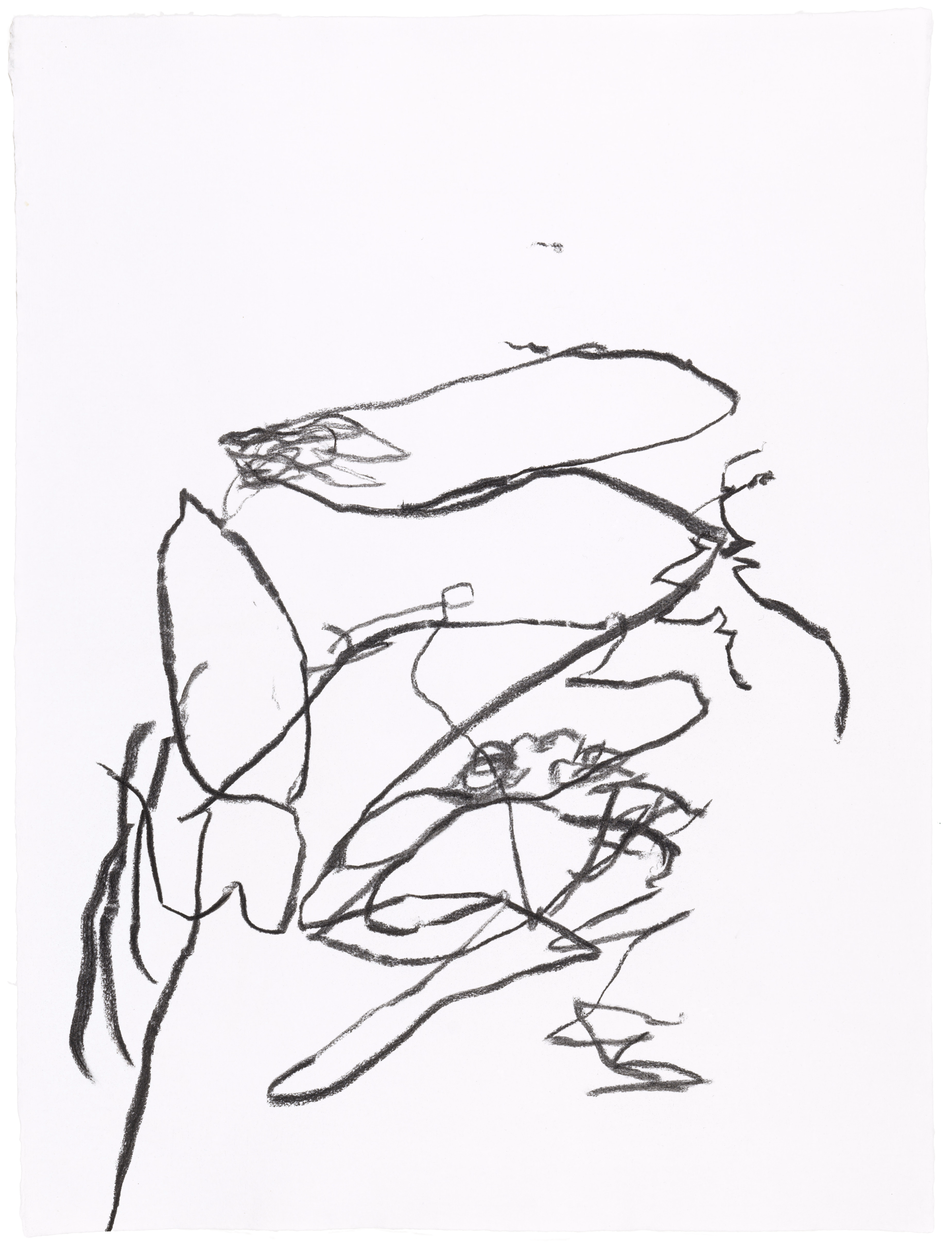 Body Drawing 86 — (2023) — charcoal on paper — 58 x 78 cm
