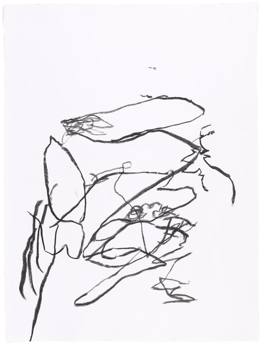 Body Drawing 86