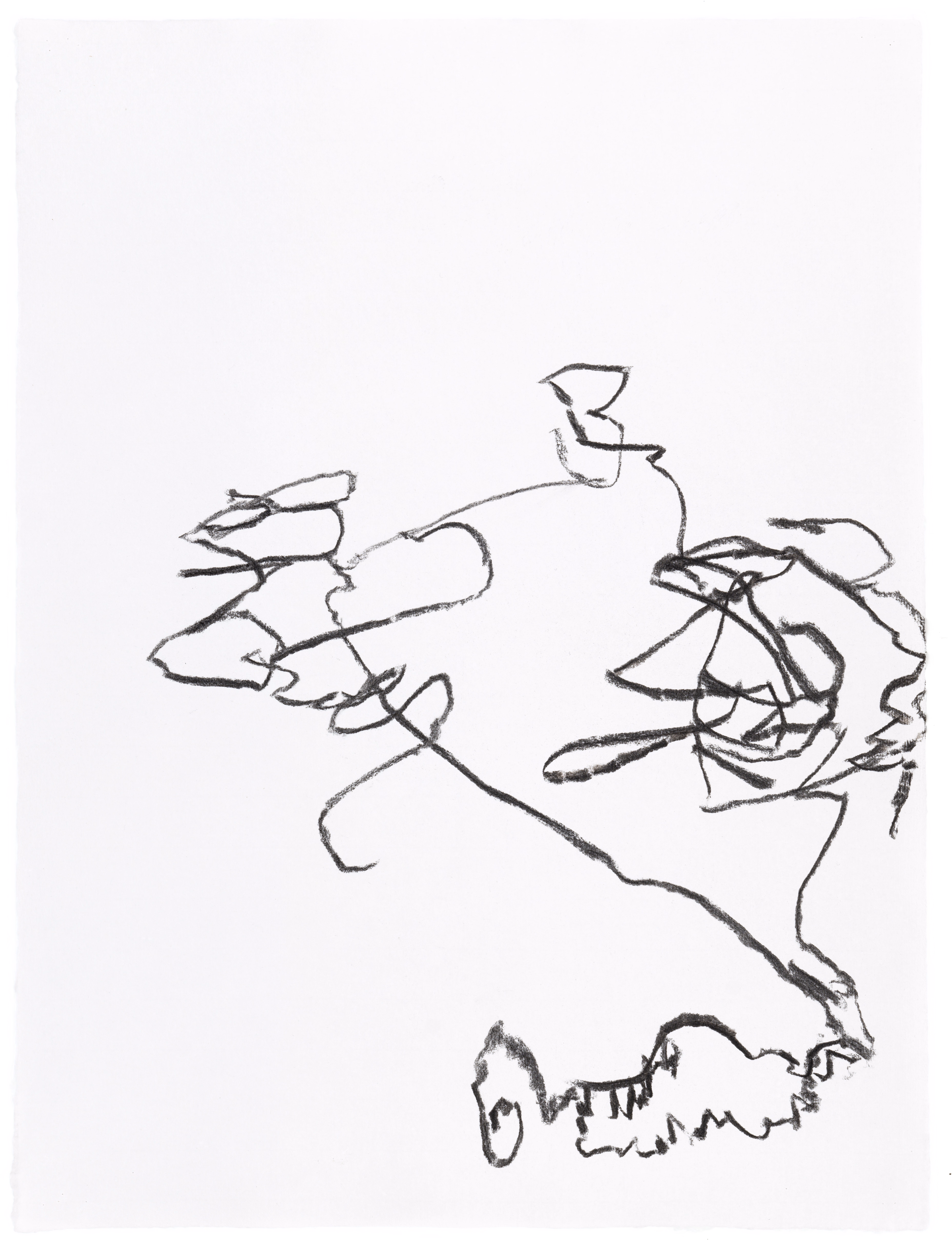 Body Drawing 88 — (2023) — charcoal on paper — 58 x 78 cm