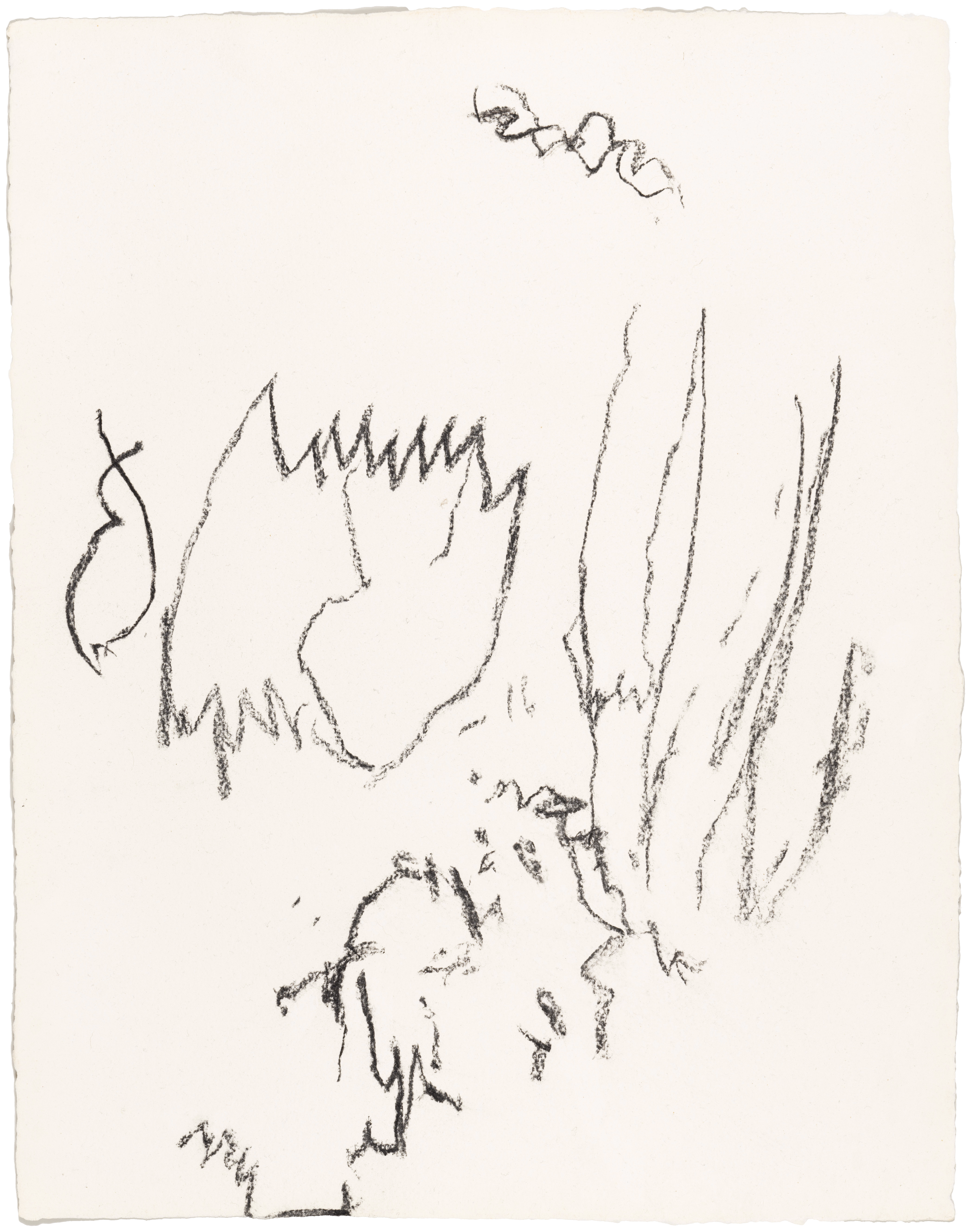 Body Drawing 90 — (2023) — charcoal on paper — 58 x 78 cm
