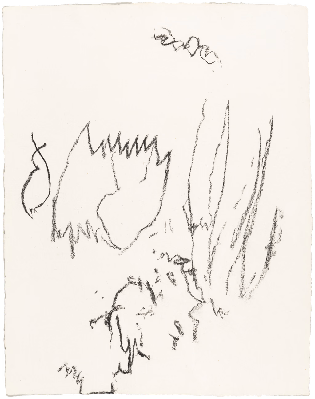 Body Drawing 90