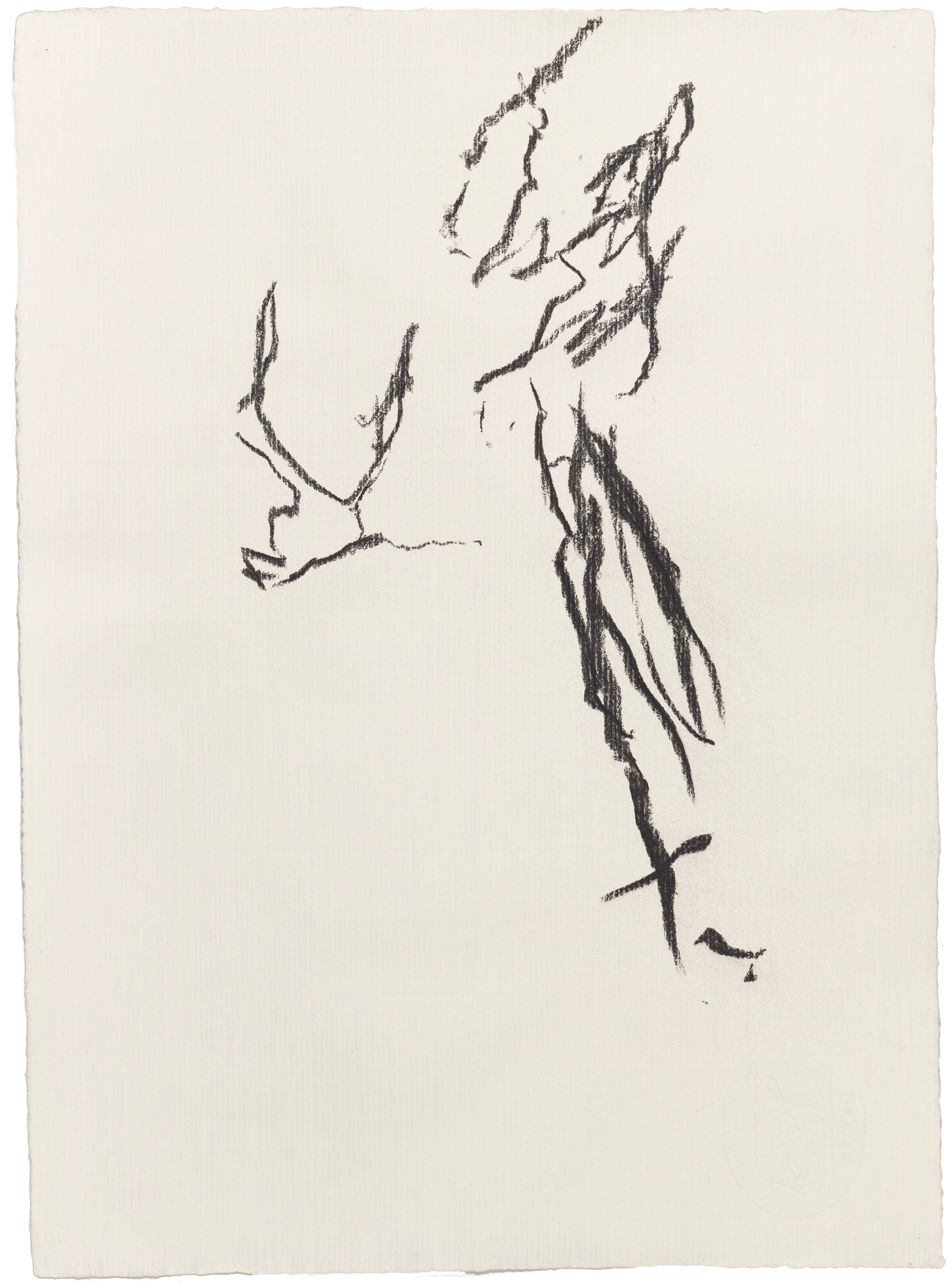 Body Drawing 91 — (2024) — charcoal on paper — 58 x 78 cm